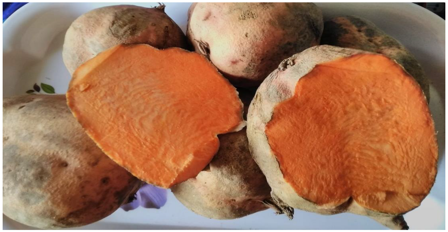 Fermentation 09 00250 g002