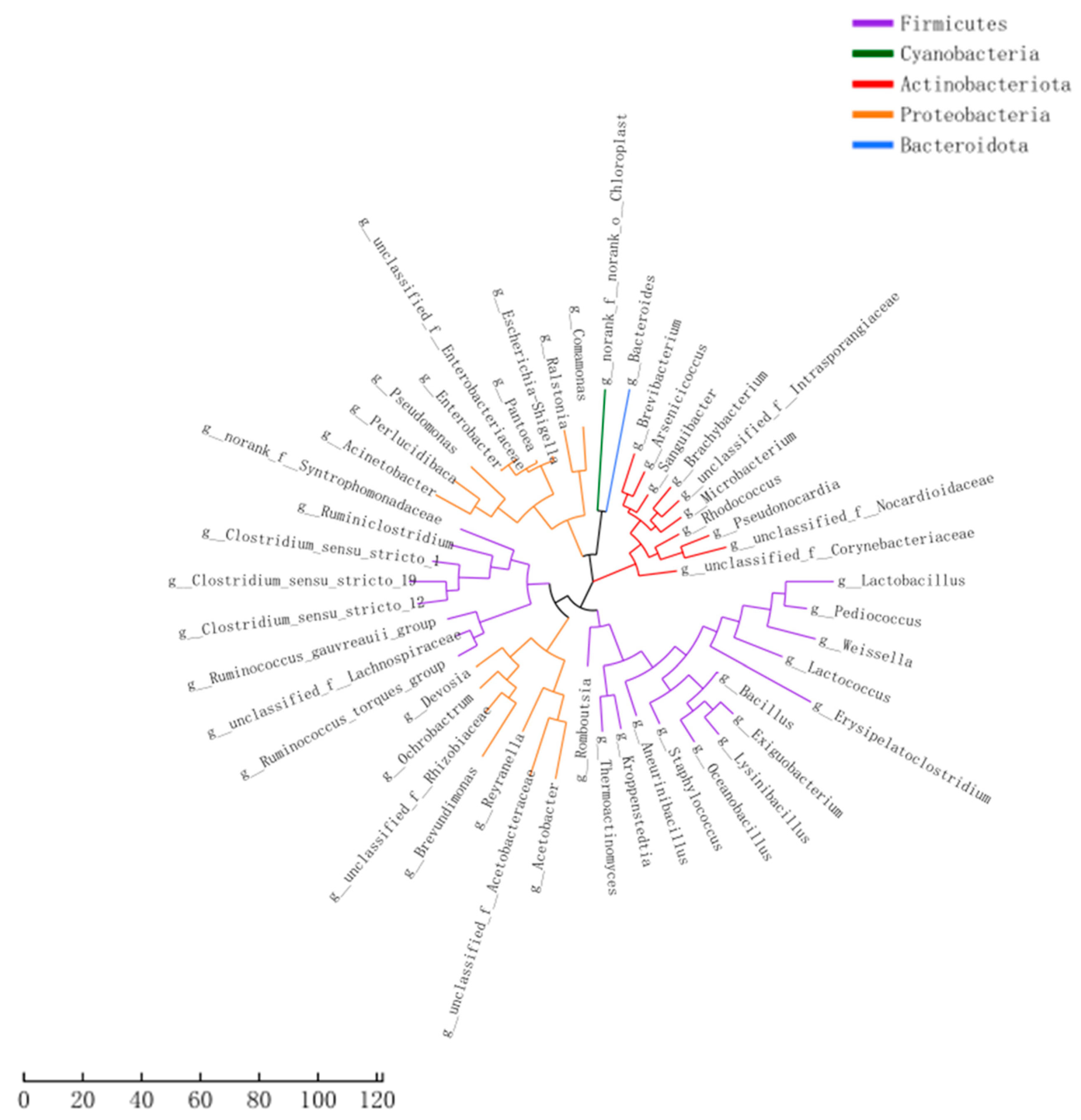 Fermentation 09 00260 g005 Fermentation 09 00260 g005