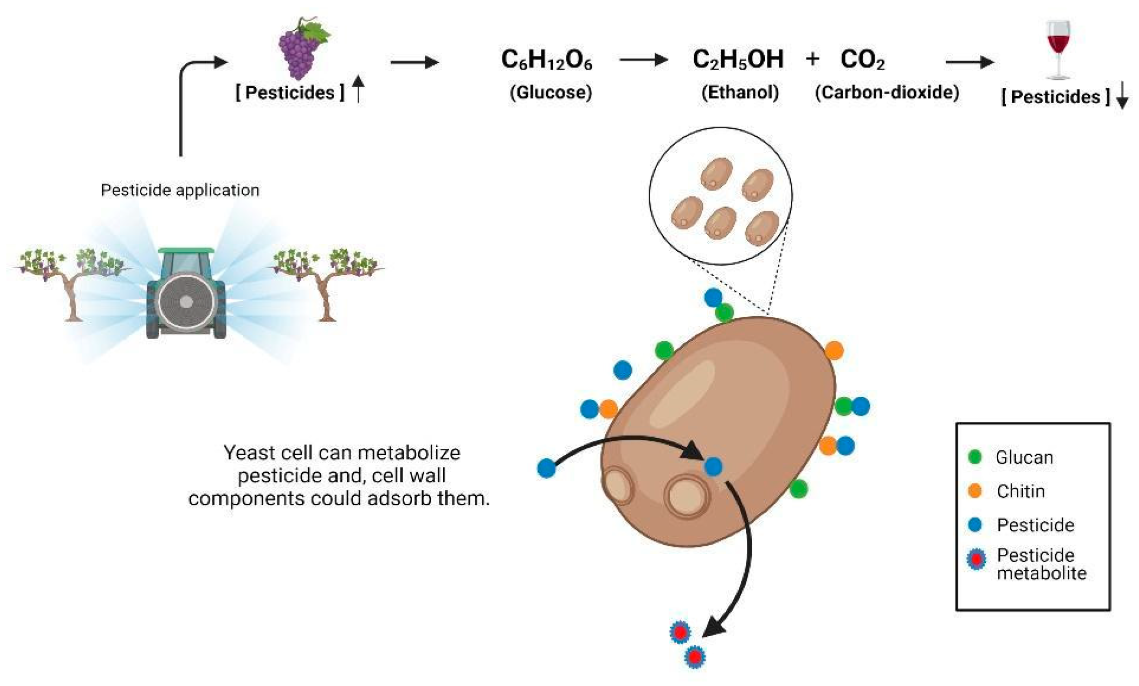 Fermentation 09 00266 g001