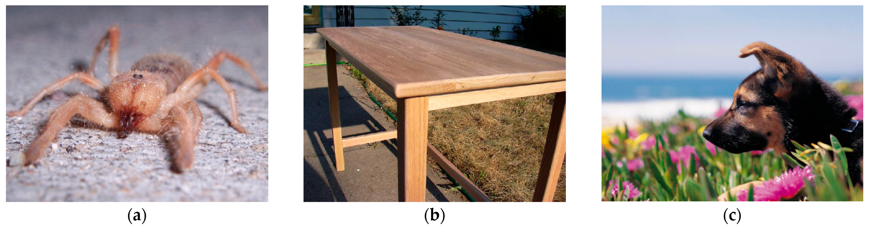 Fermentation 09 00269 g001