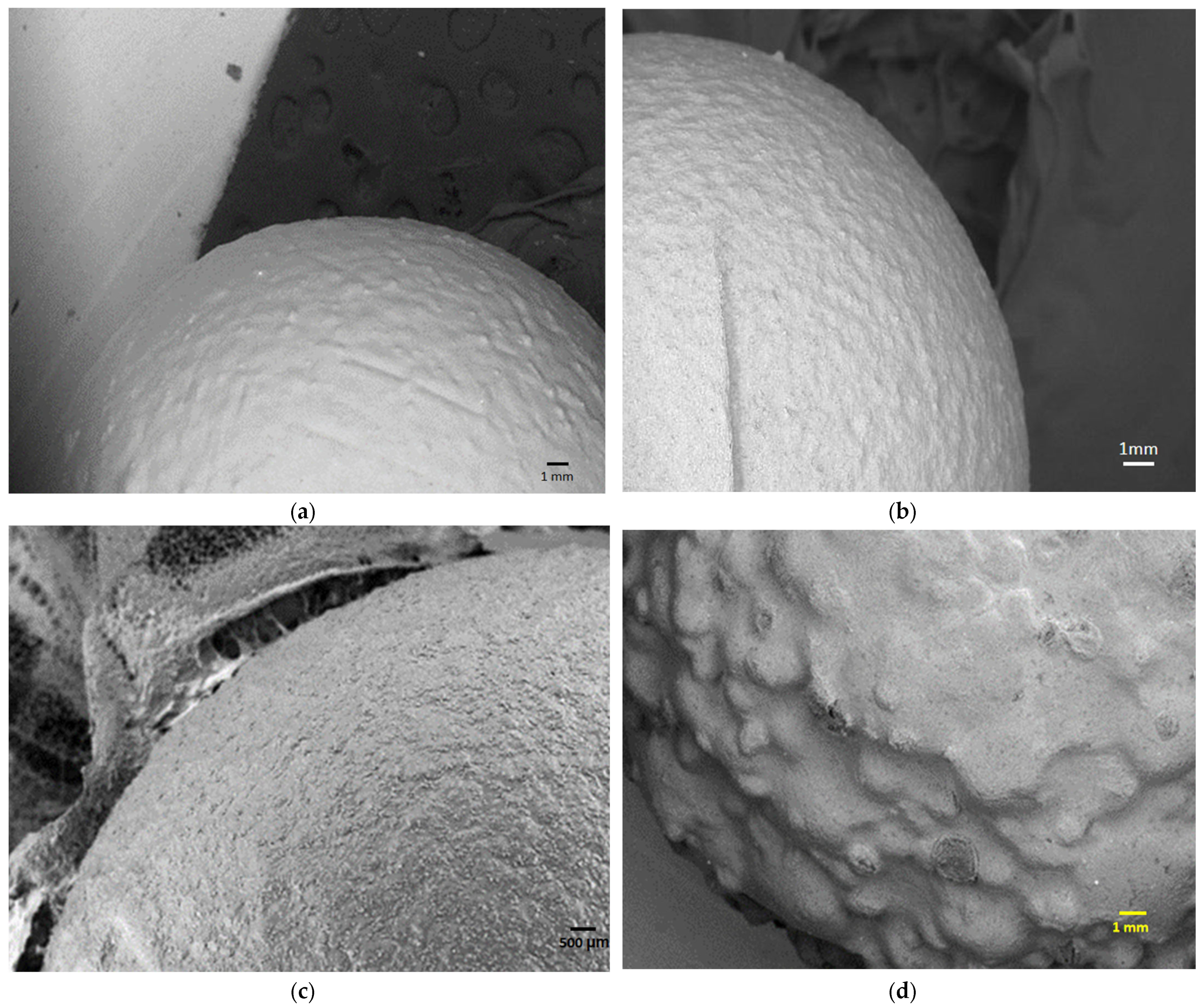 Fermentation 09 00272 g002