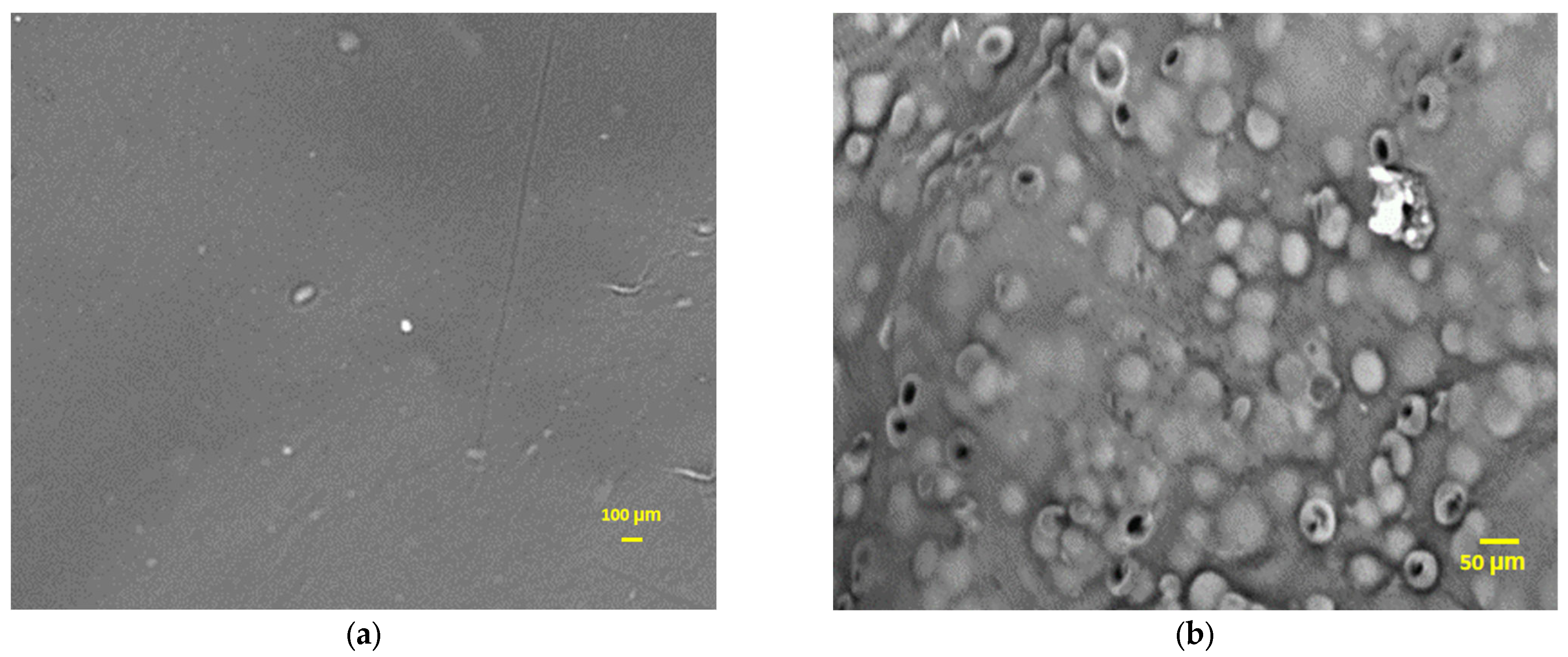 Fermentation 09 00272 g003a