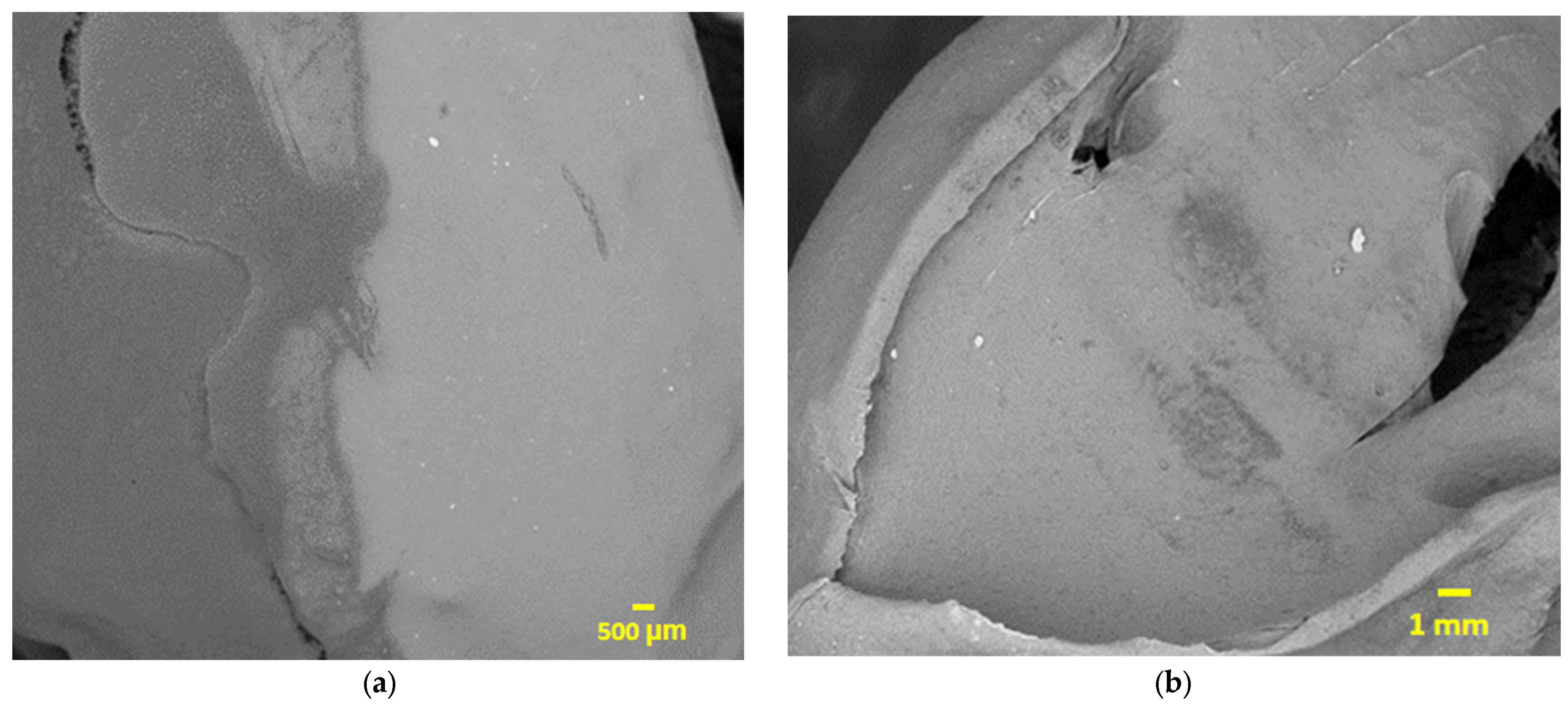 Fermentation 09 00272 g004a