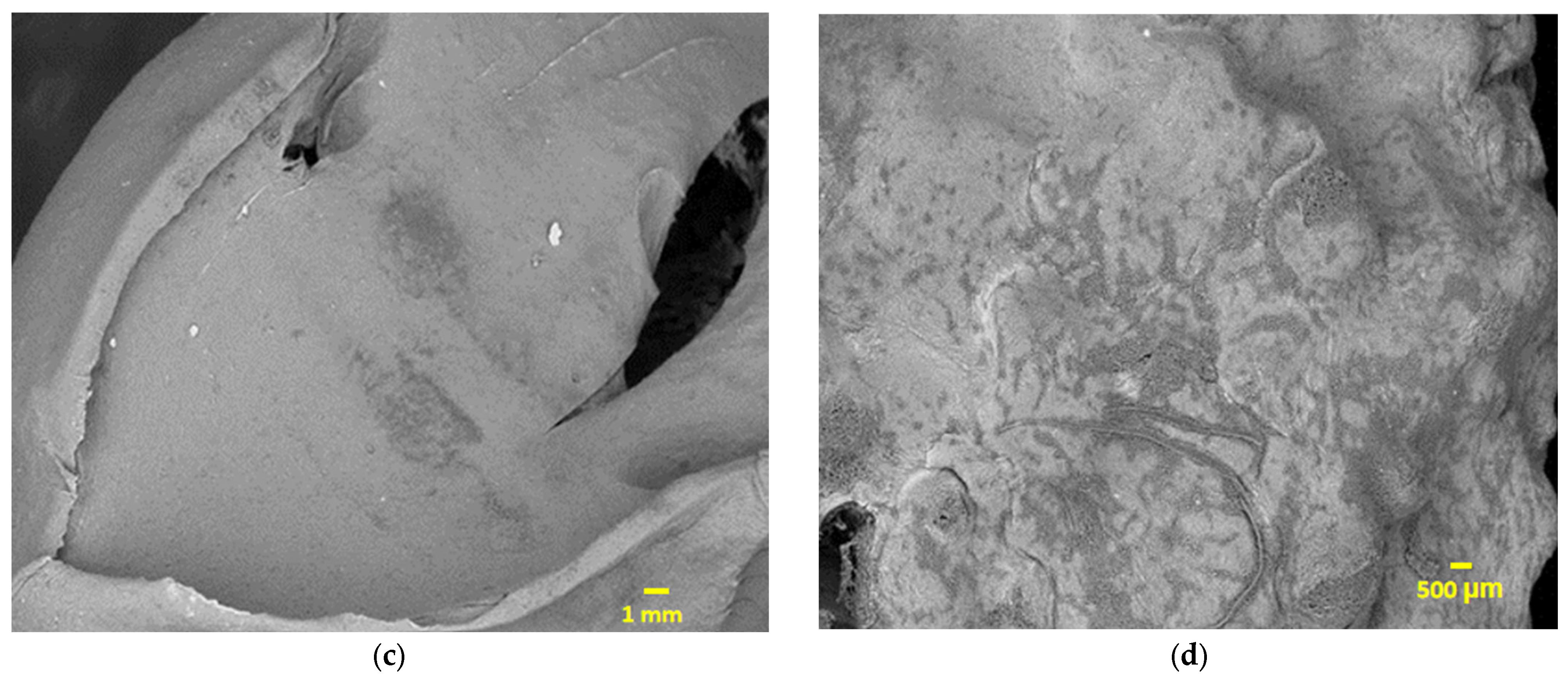 Fermentation 09 00272 g004b