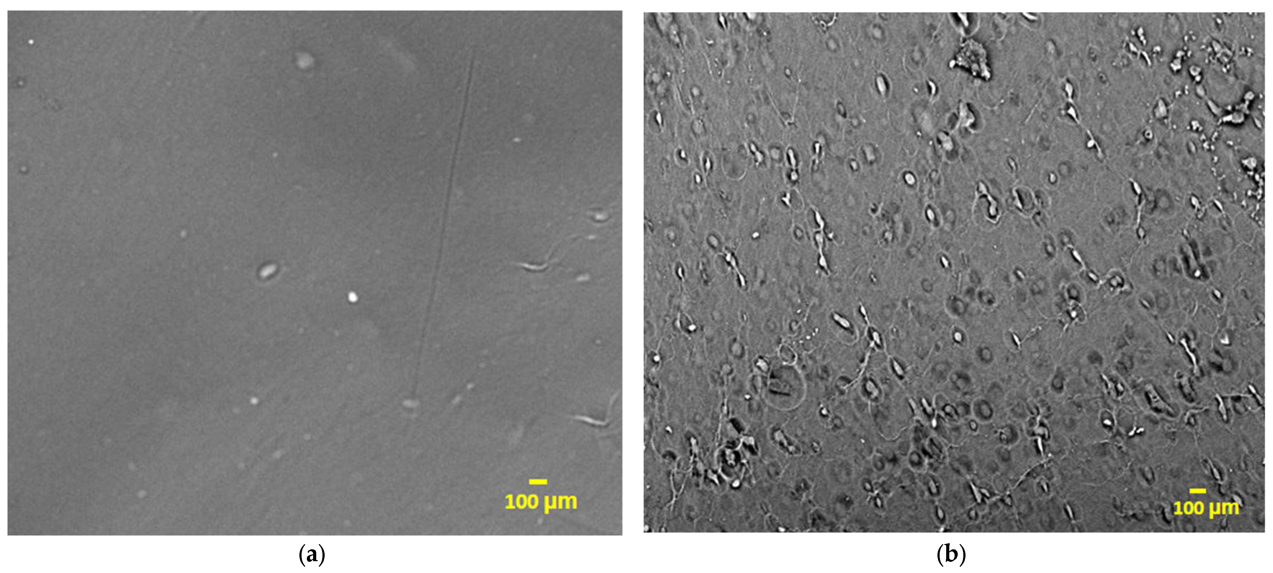 Fermentation 09 00272 g005a