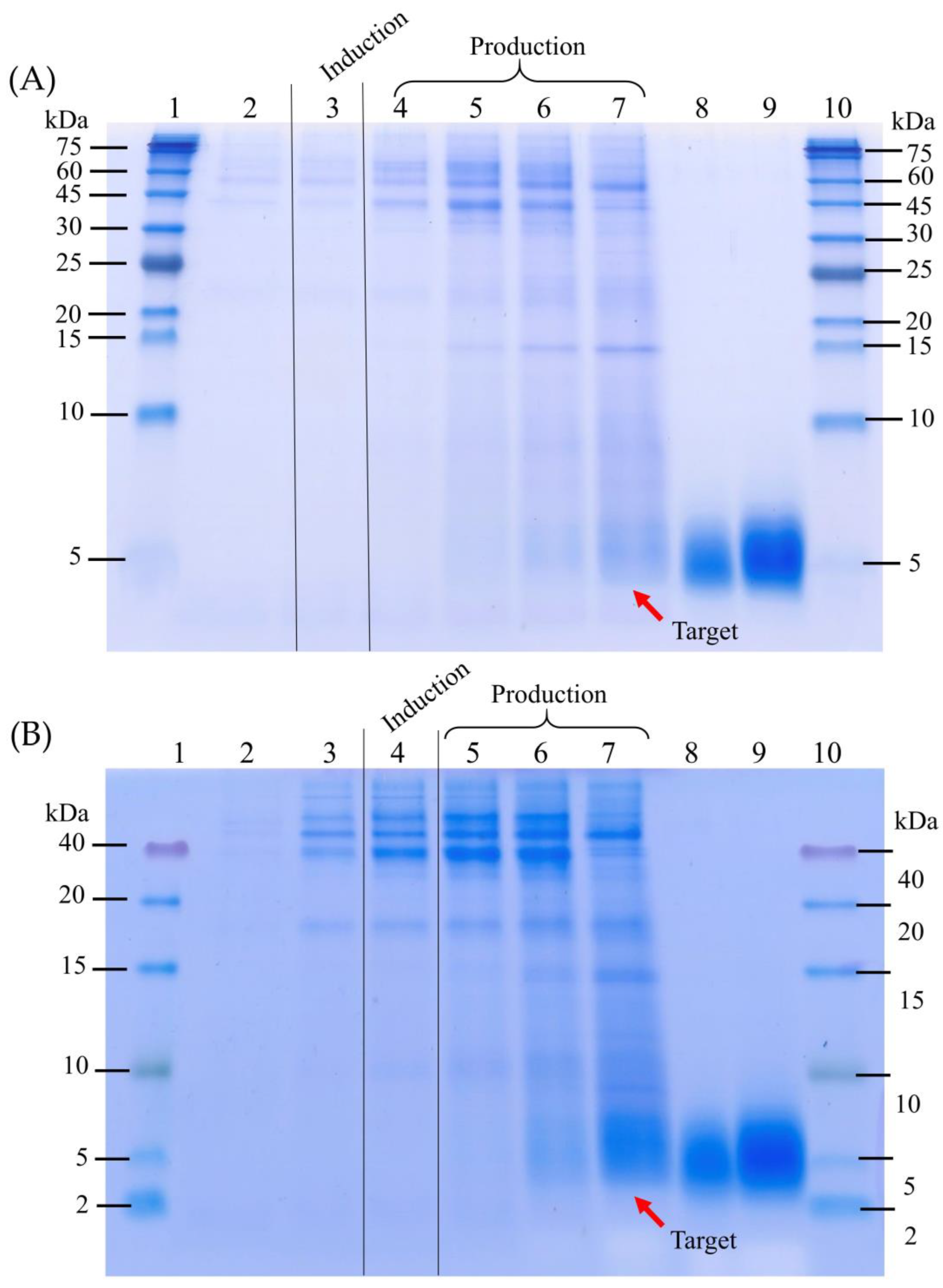 Fermentation 09 00277 g002 Fermentation 09 00277 g002