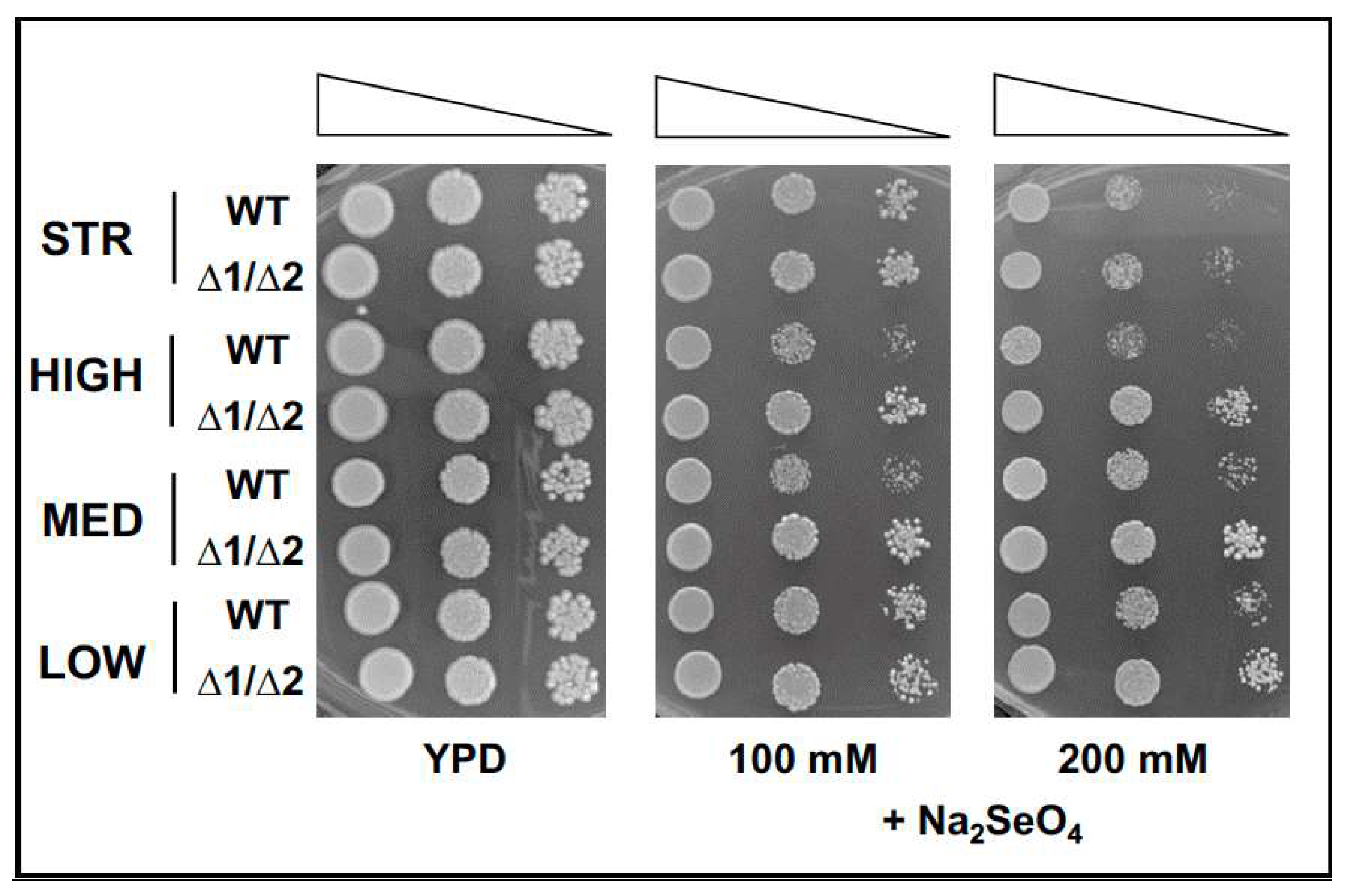 Fermentation 09 00280 g003 Fermentation 09 00280 g003