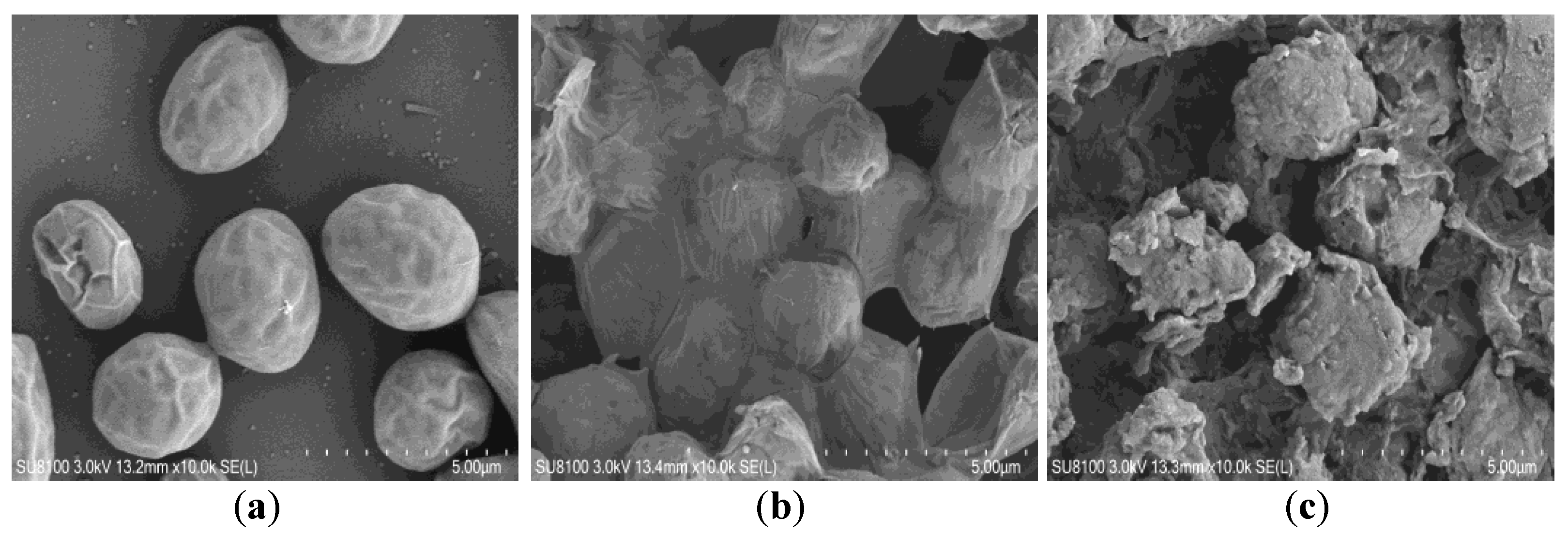 Fermentation 09 00284 g004