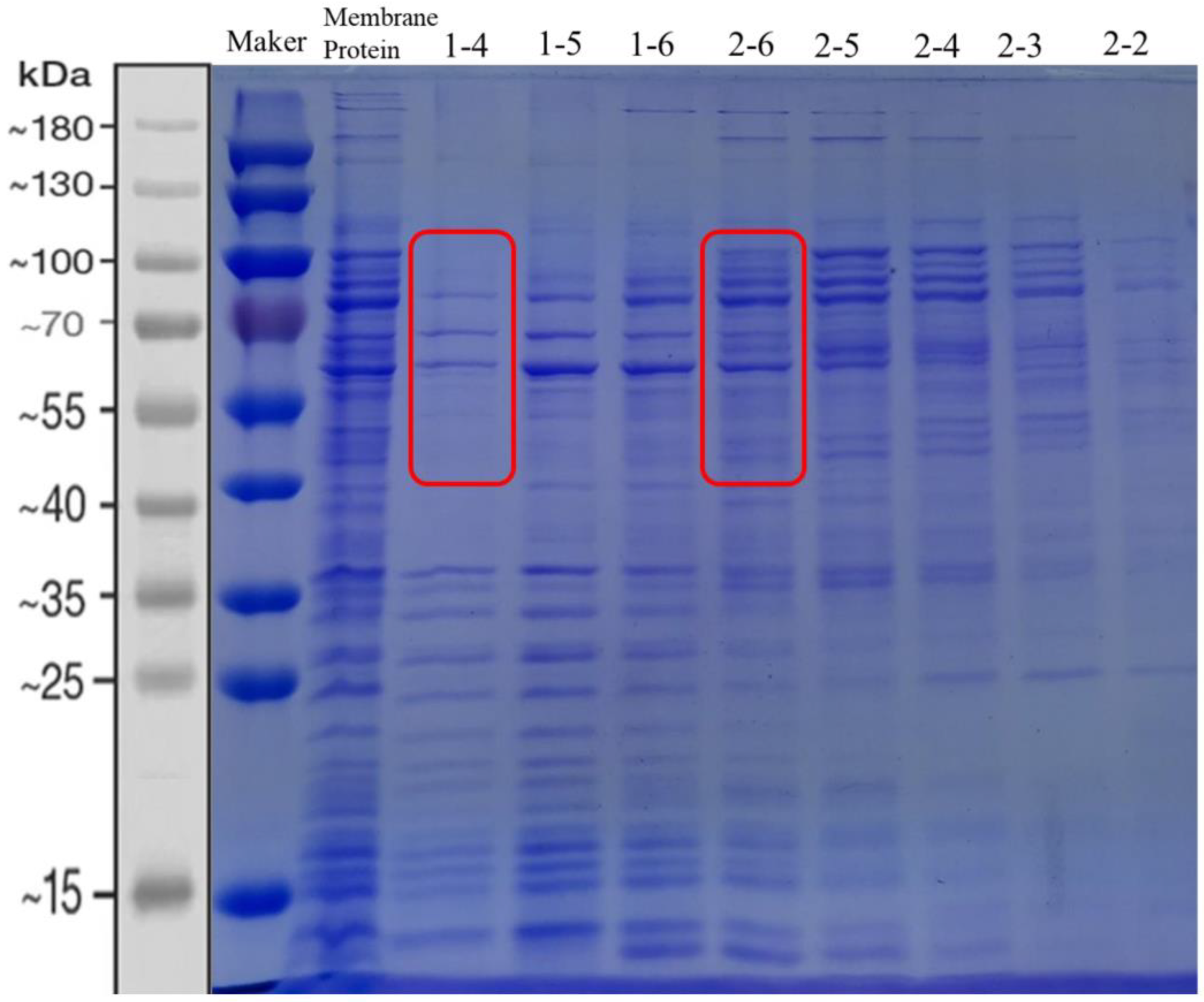 Fermentation 09 00286 g001 Fermentation 09 00286 g001