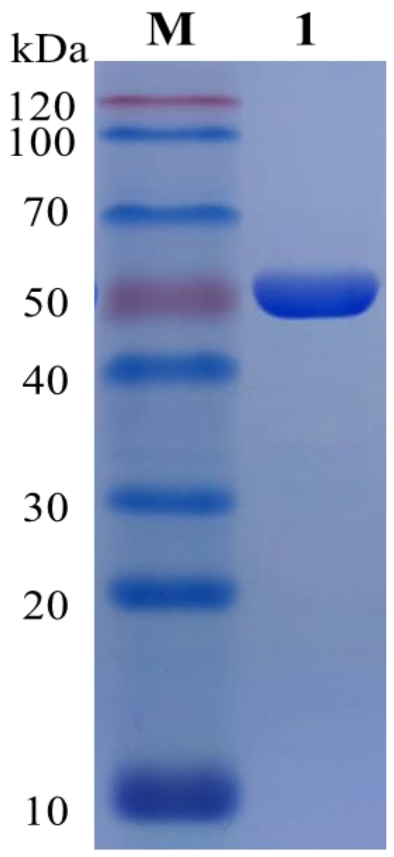 Fermentation 09 00286 g003 Fermentation 09 00286 g003