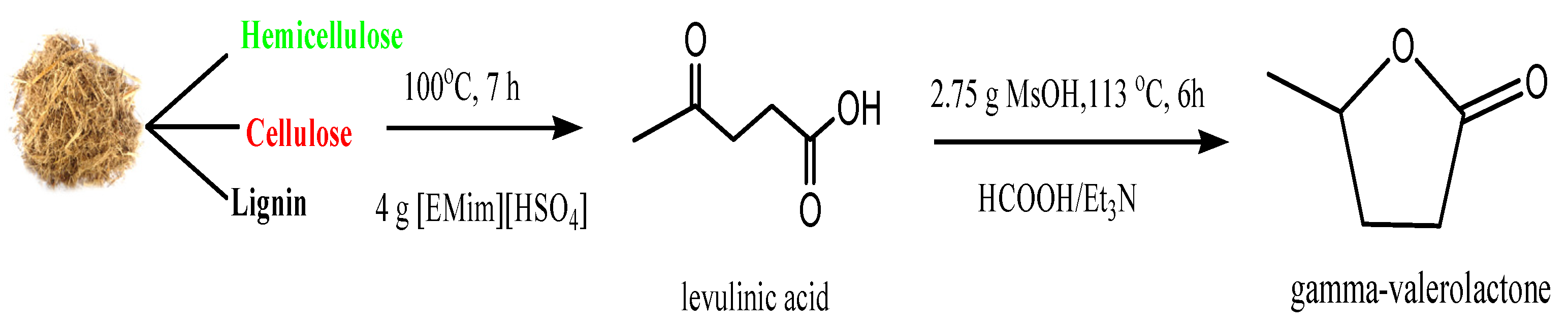 Fermentation 09 00288 g001 Fermentation 09 00288 g001
