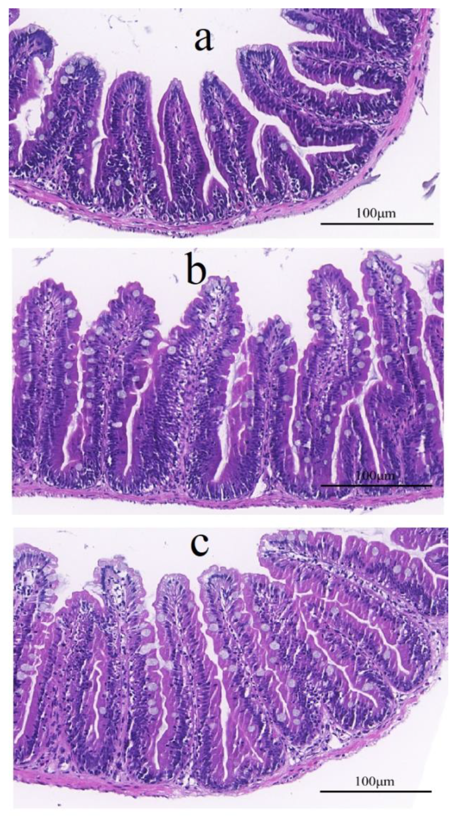 Fermentation 09 00293 g003
