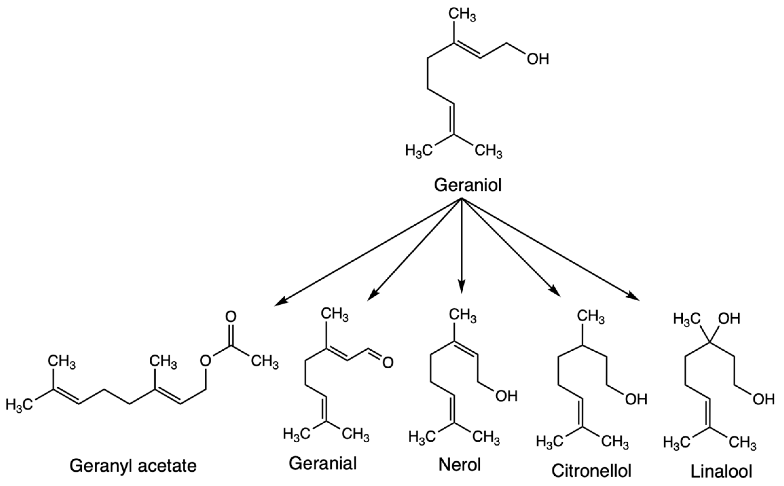 Fermentation 09 00294 g001