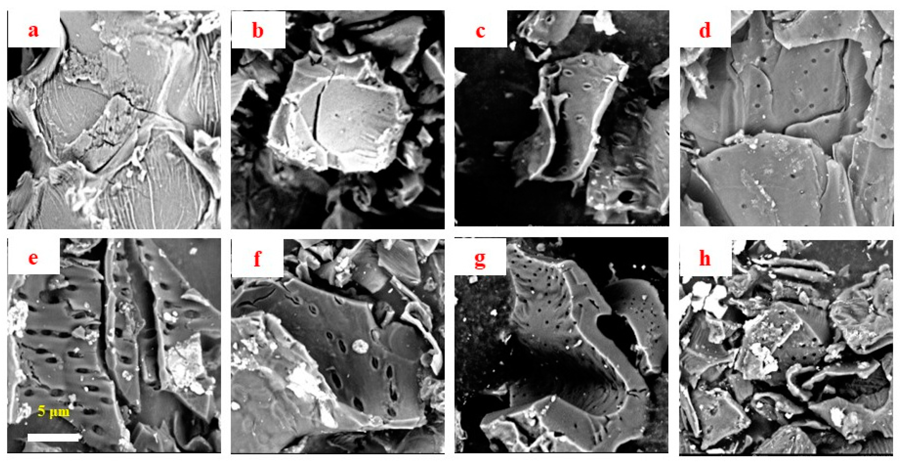Fermentation 09 00295 g001 Fermentation 09 00295 g001