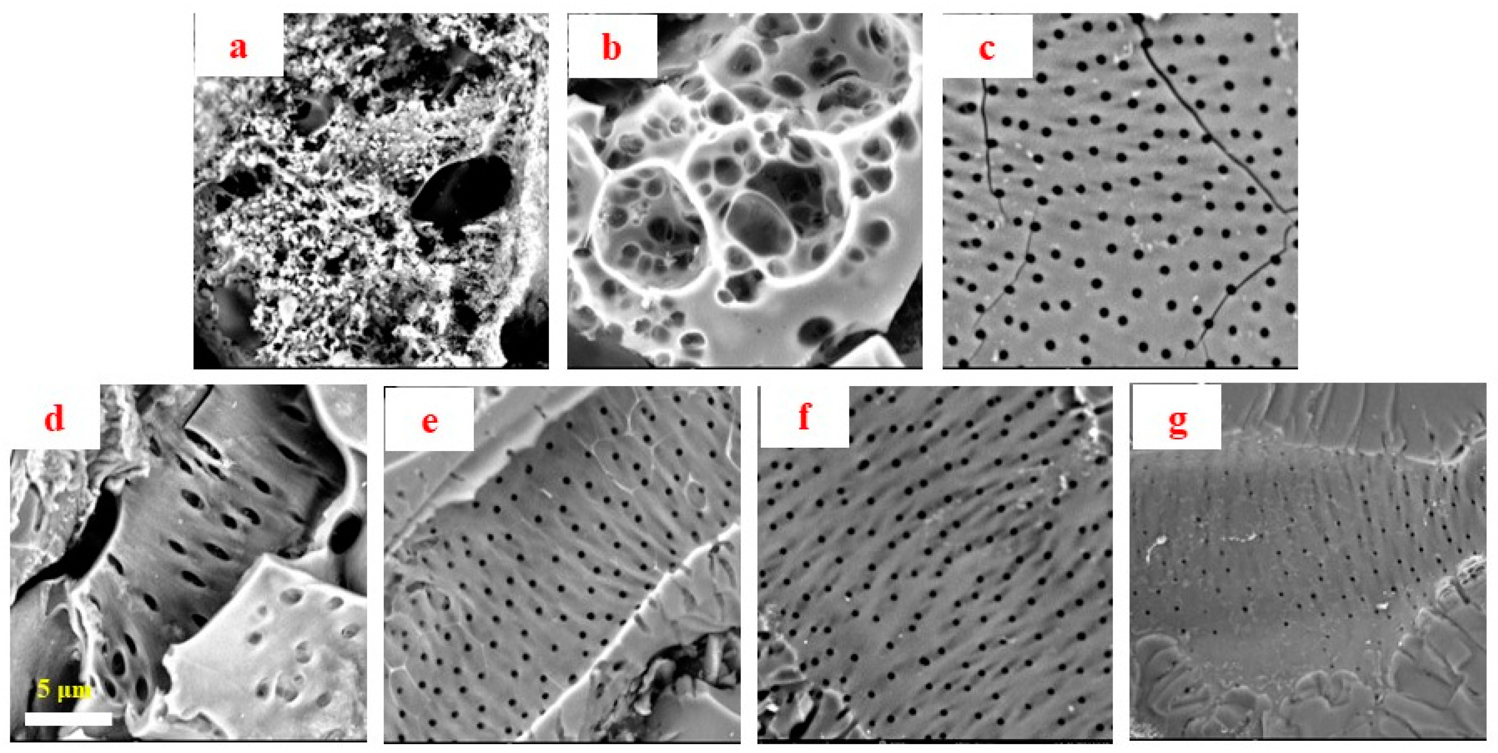 Fermentation 09 00295 g002 Fermentation 09 00295 g002
