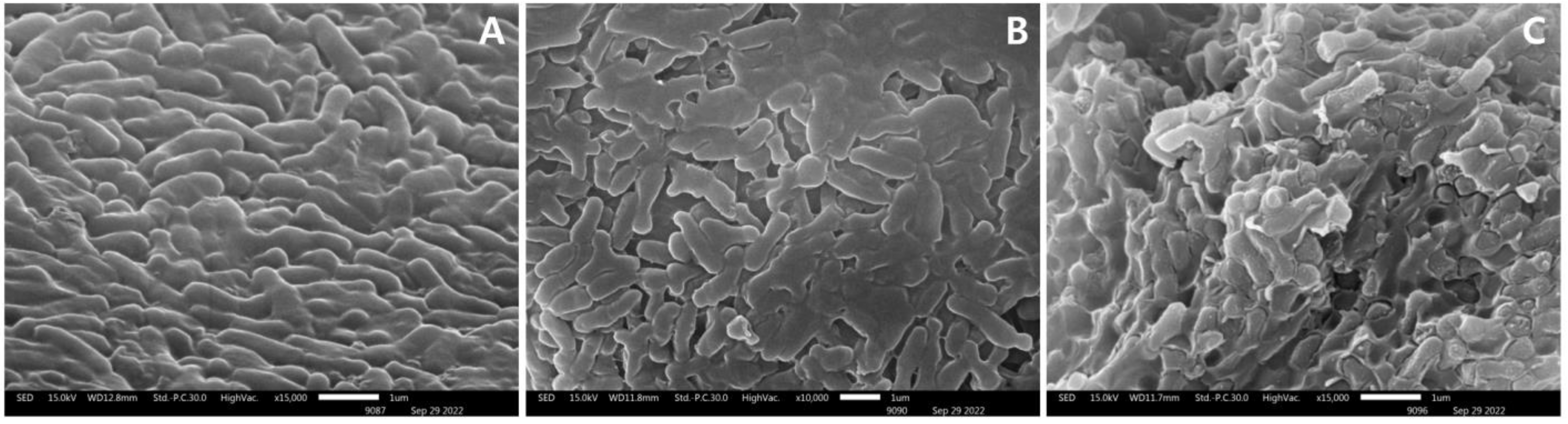 Fermentation 09 00296 g005