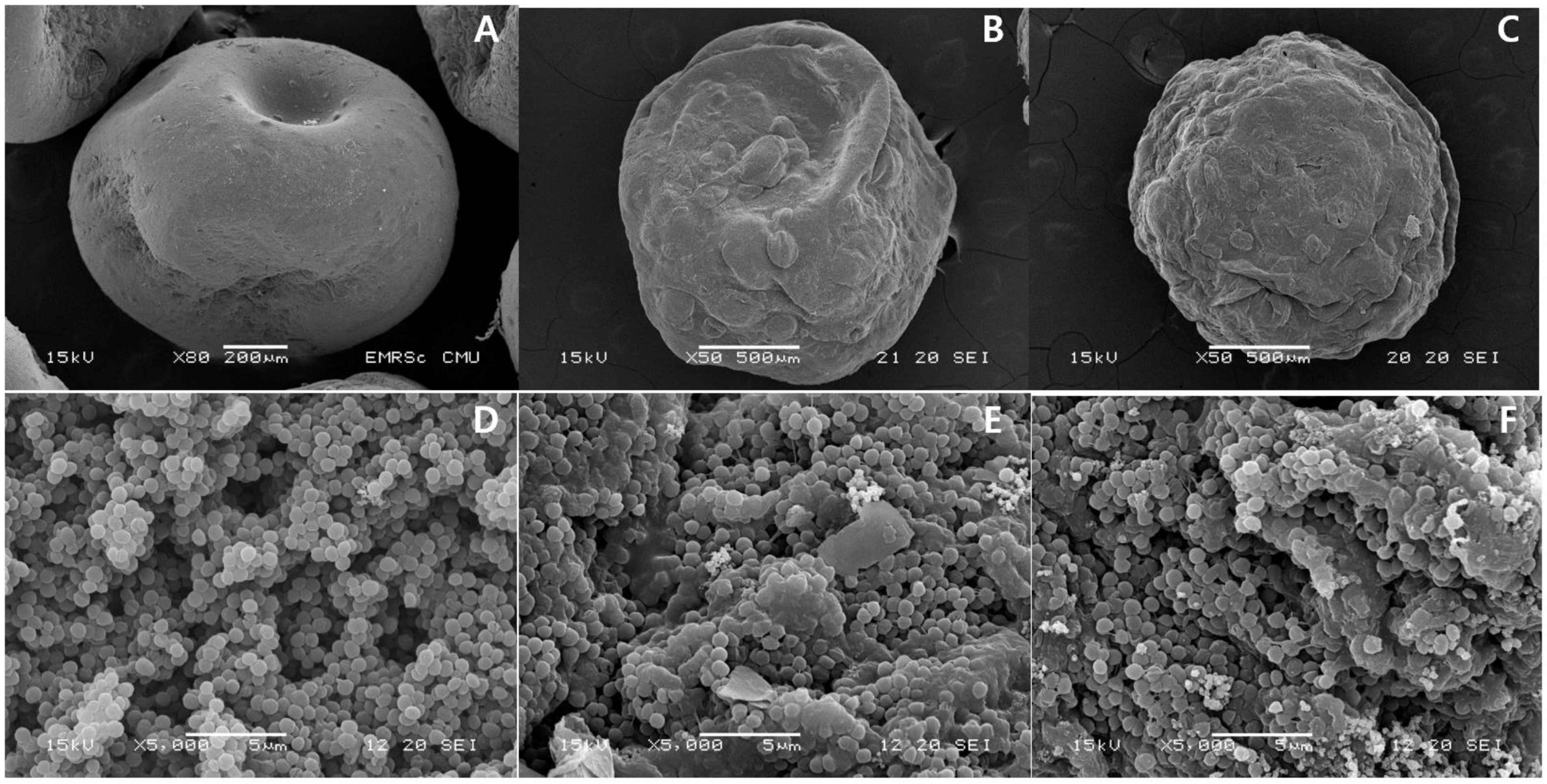 Fermentation 09 00296 g006