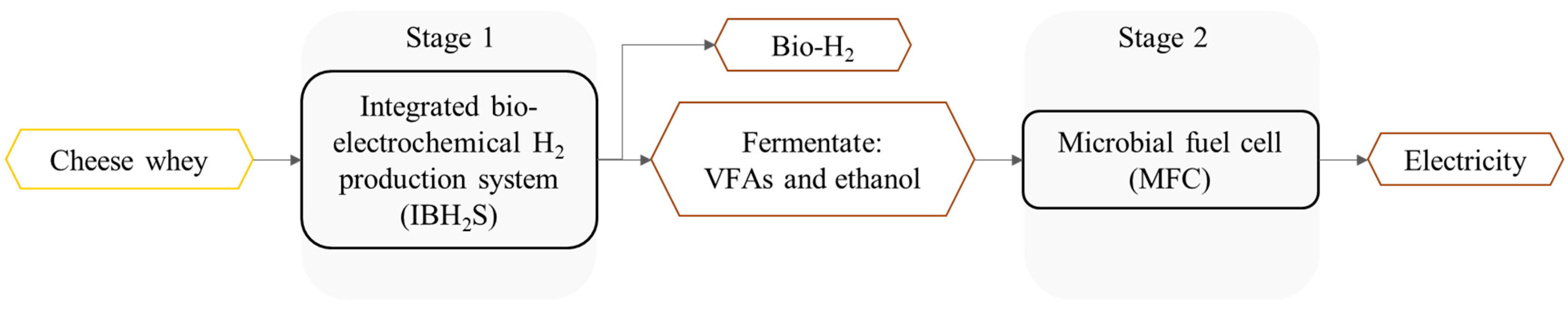 Fermentation 09 00306 g001