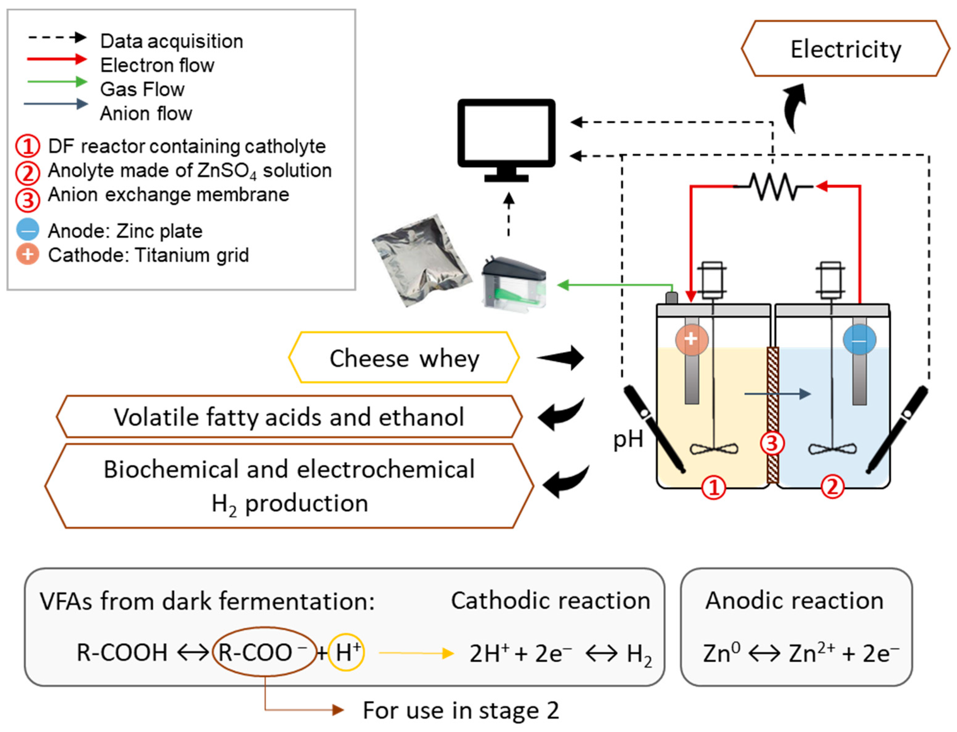 Fermentation 09 00306 g002
