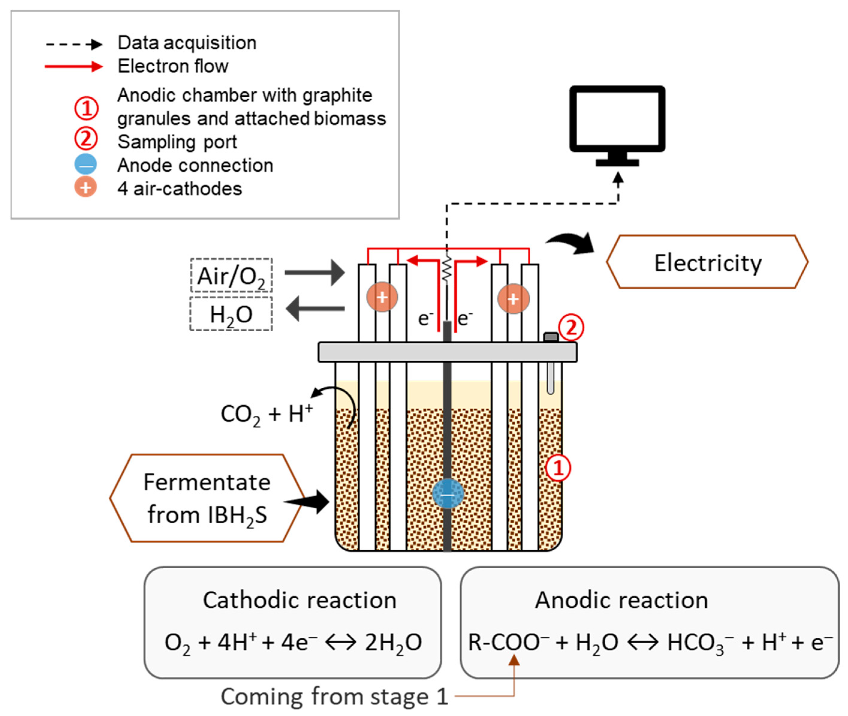 Fermentation 09 00306 g003