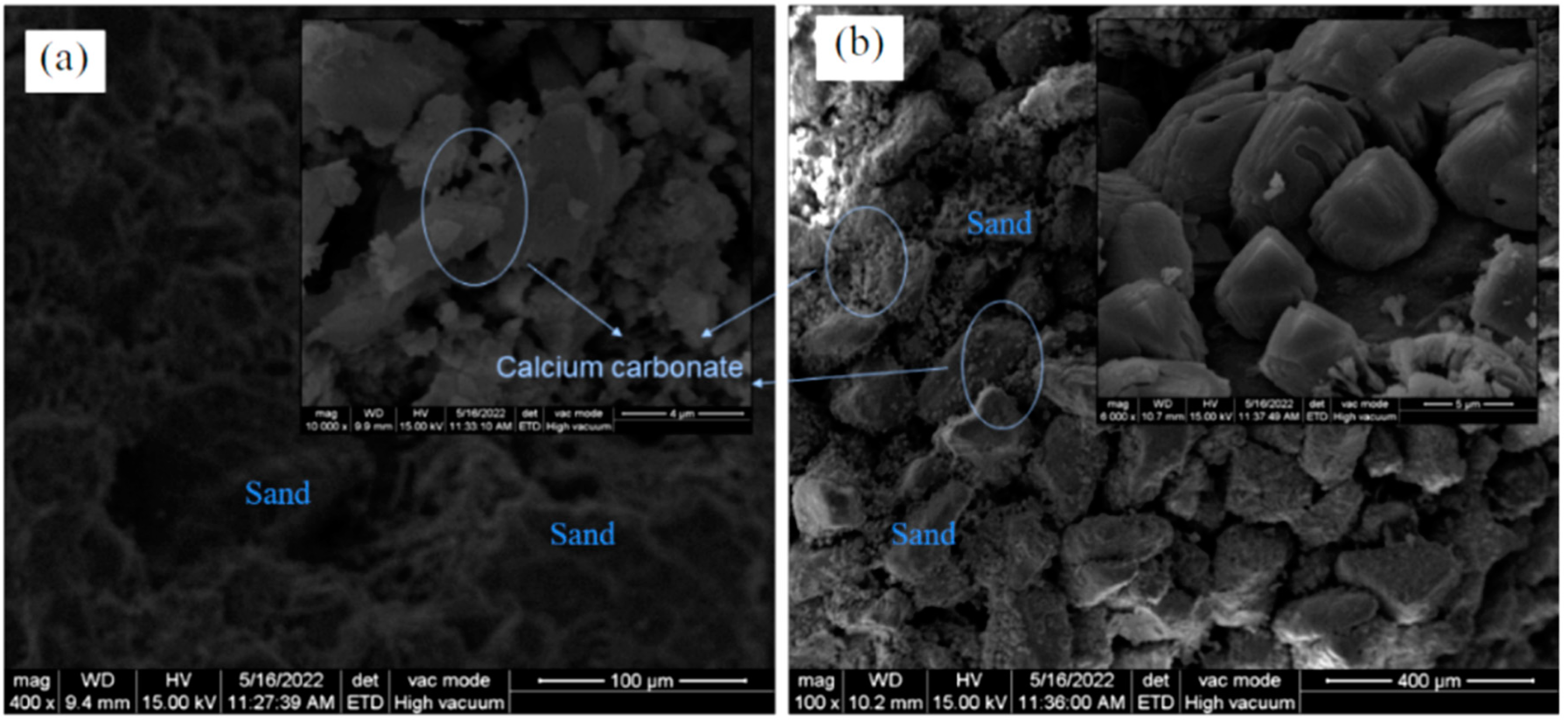 Fermentation 09 00307 g005