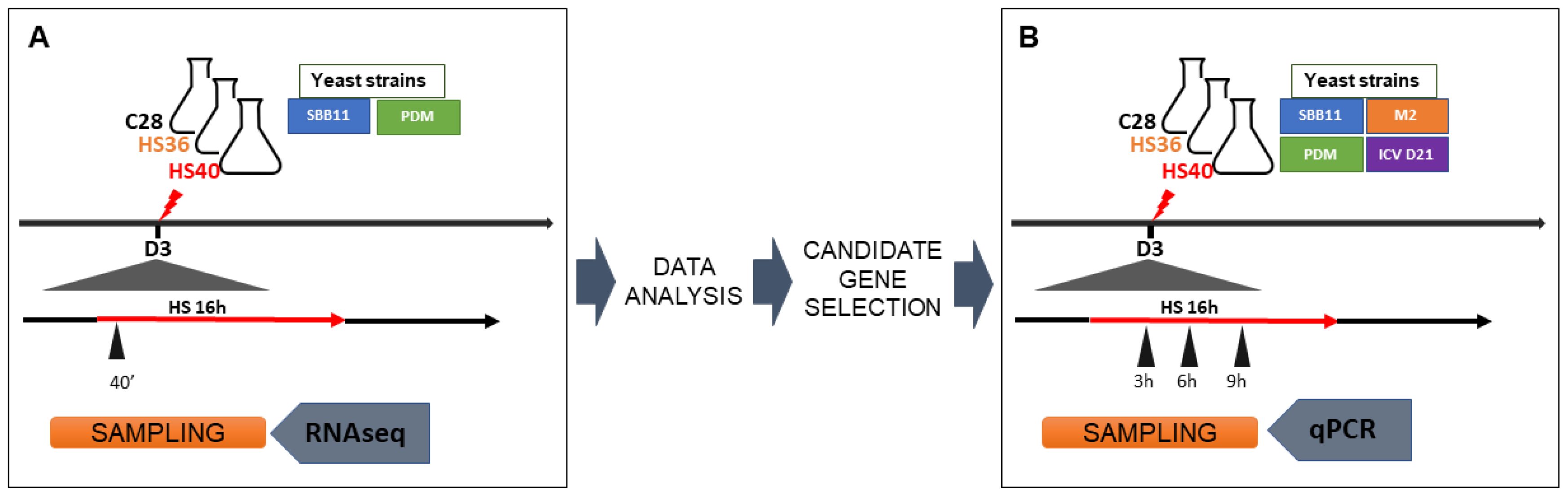 Fermentation 09 00313 g001 Fermentation 09 00313 g001