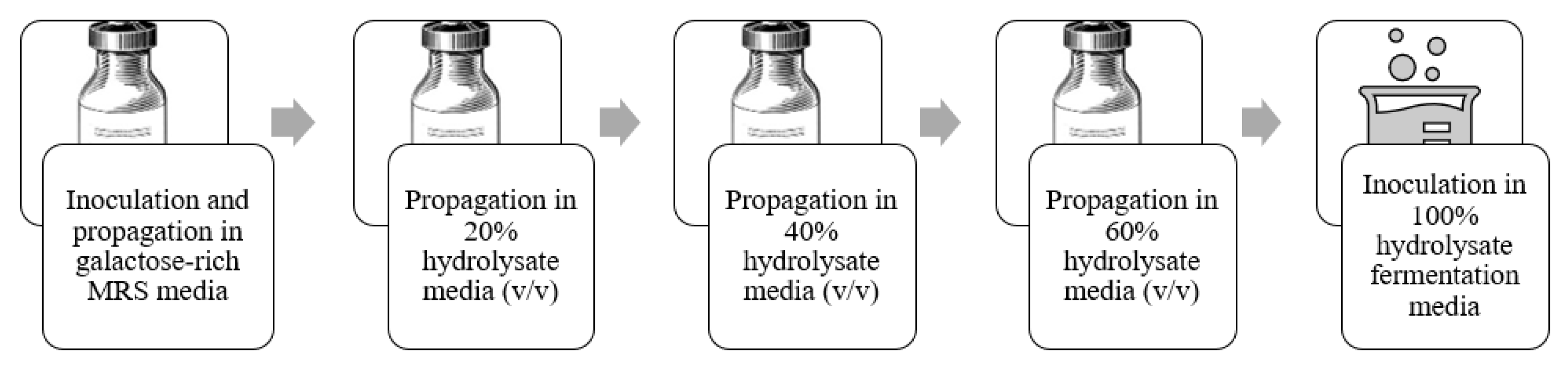 Fermentation 09 00319 g001 Fermentation 09 00319 g001