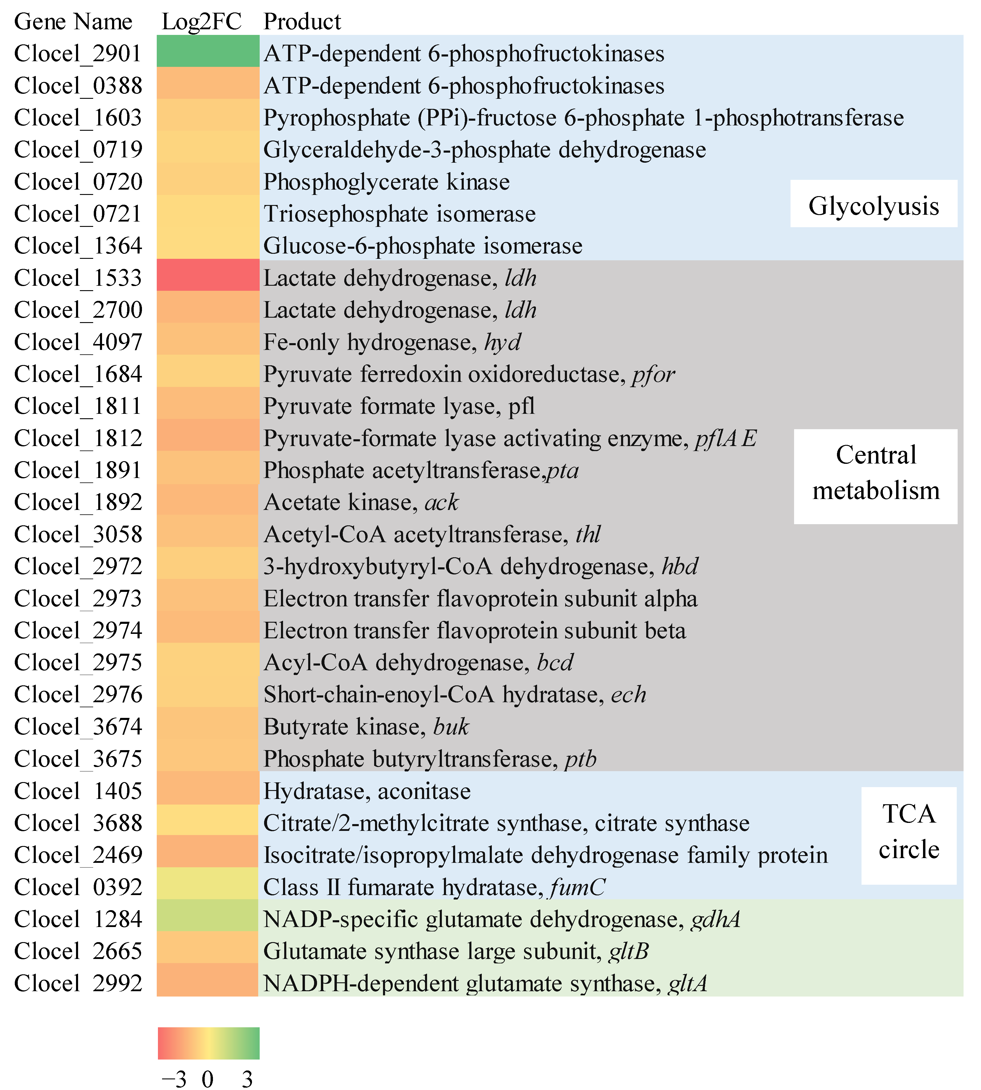 Fermentation 09 00321 g003