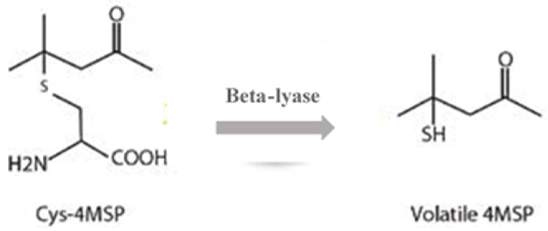 Fermentation 09 00327 g003