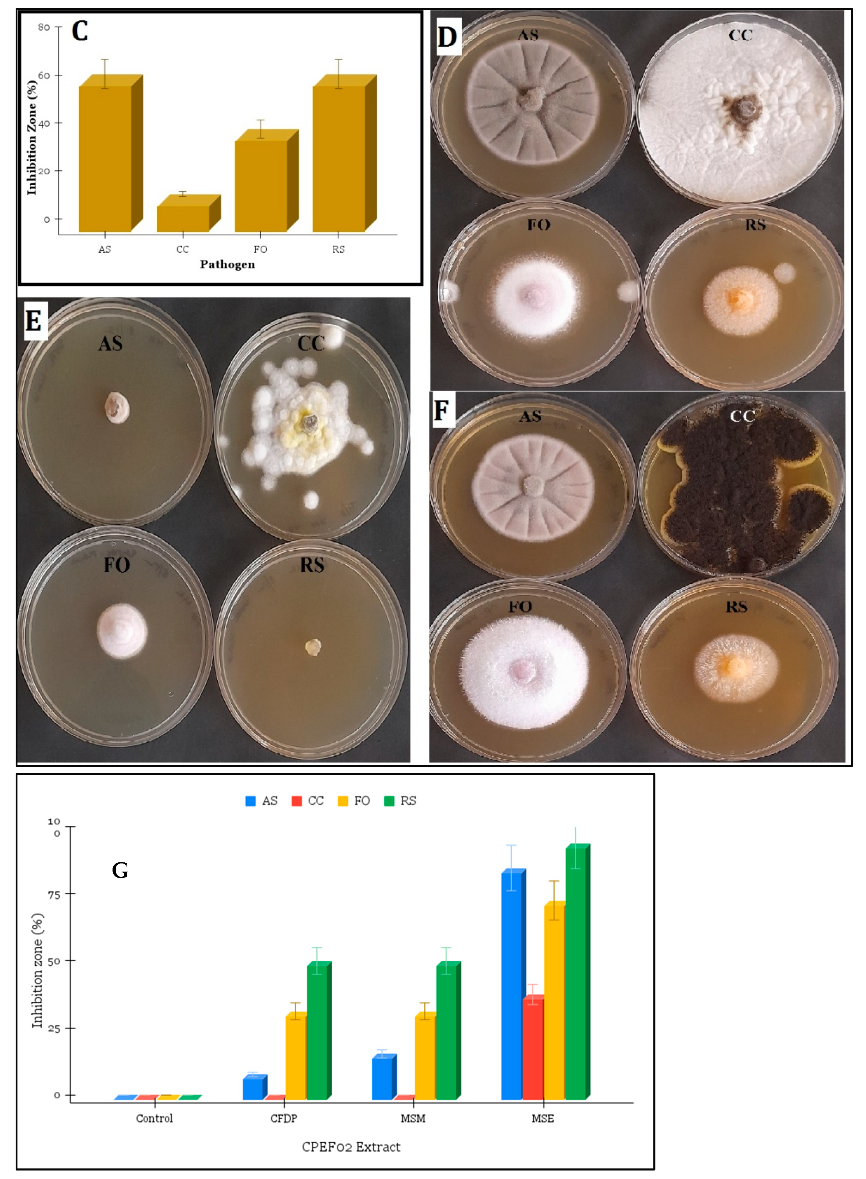 Fermentation 09 00328 g004b