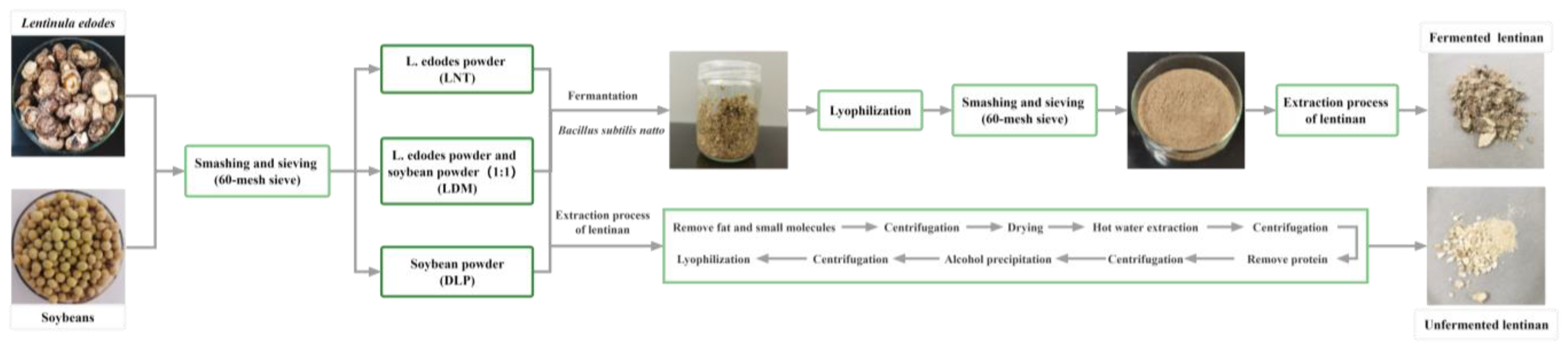 Fermentation 09 00333 g001 Fermentation 09 00333 g001