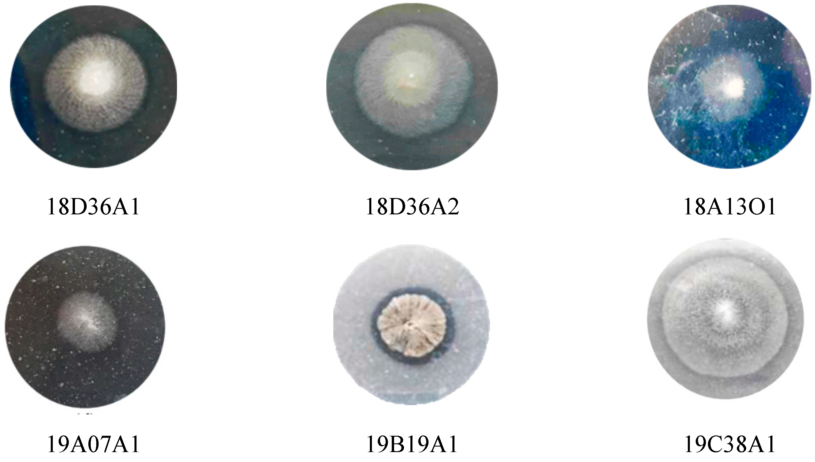 Fermentation 09 00334 g002