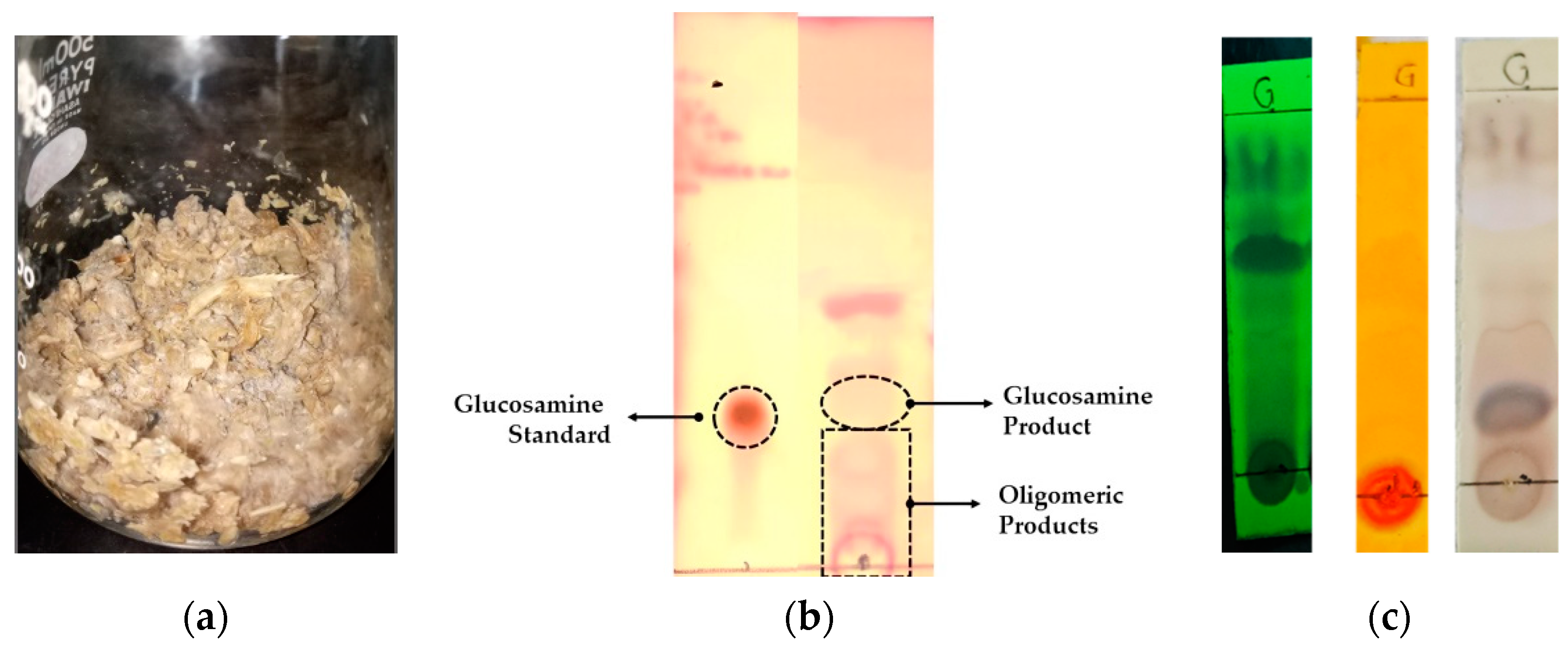 Fermentation 09 00334 g004