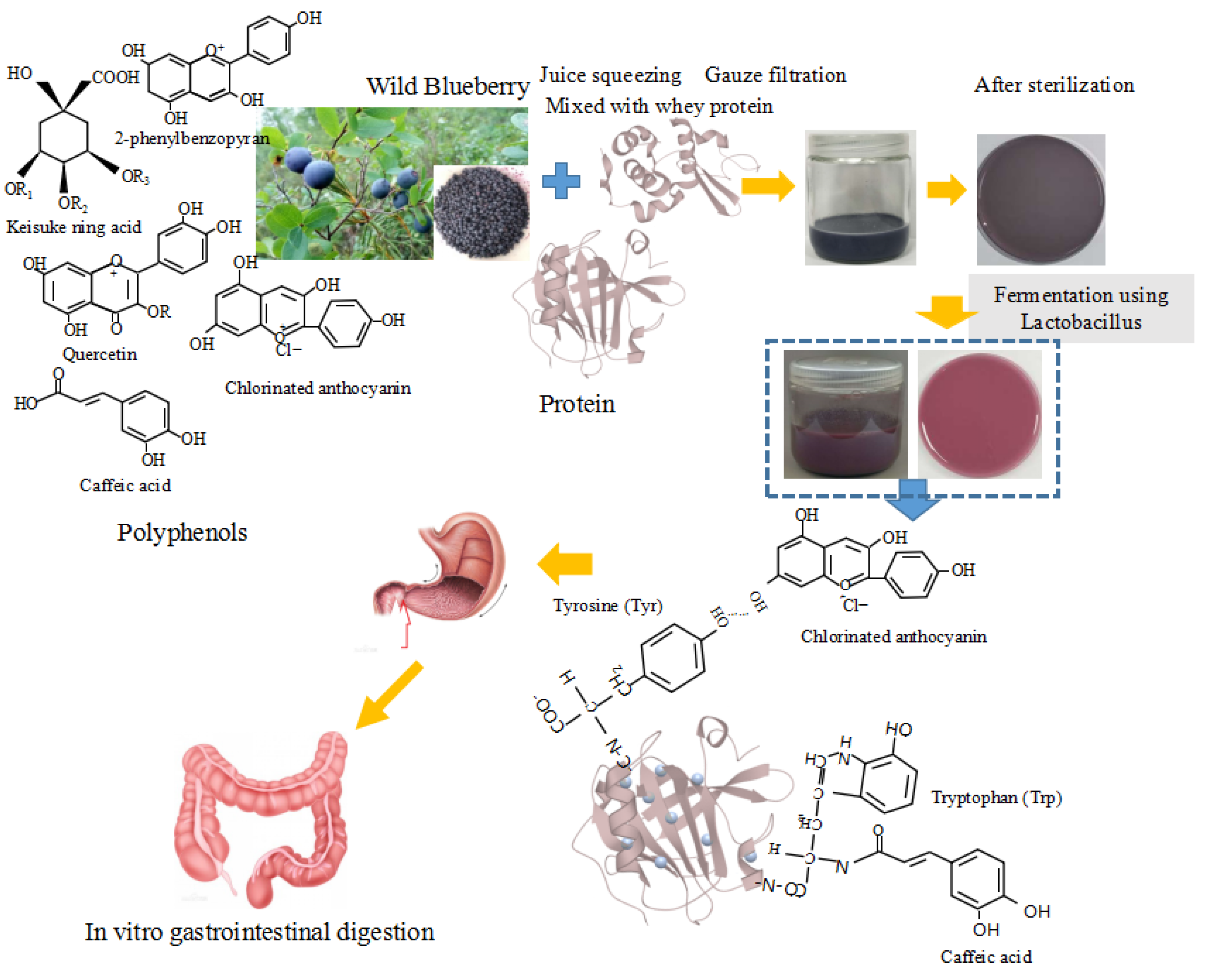 Fermentation 09 00335 g001 Fermentation 09 00335 g001