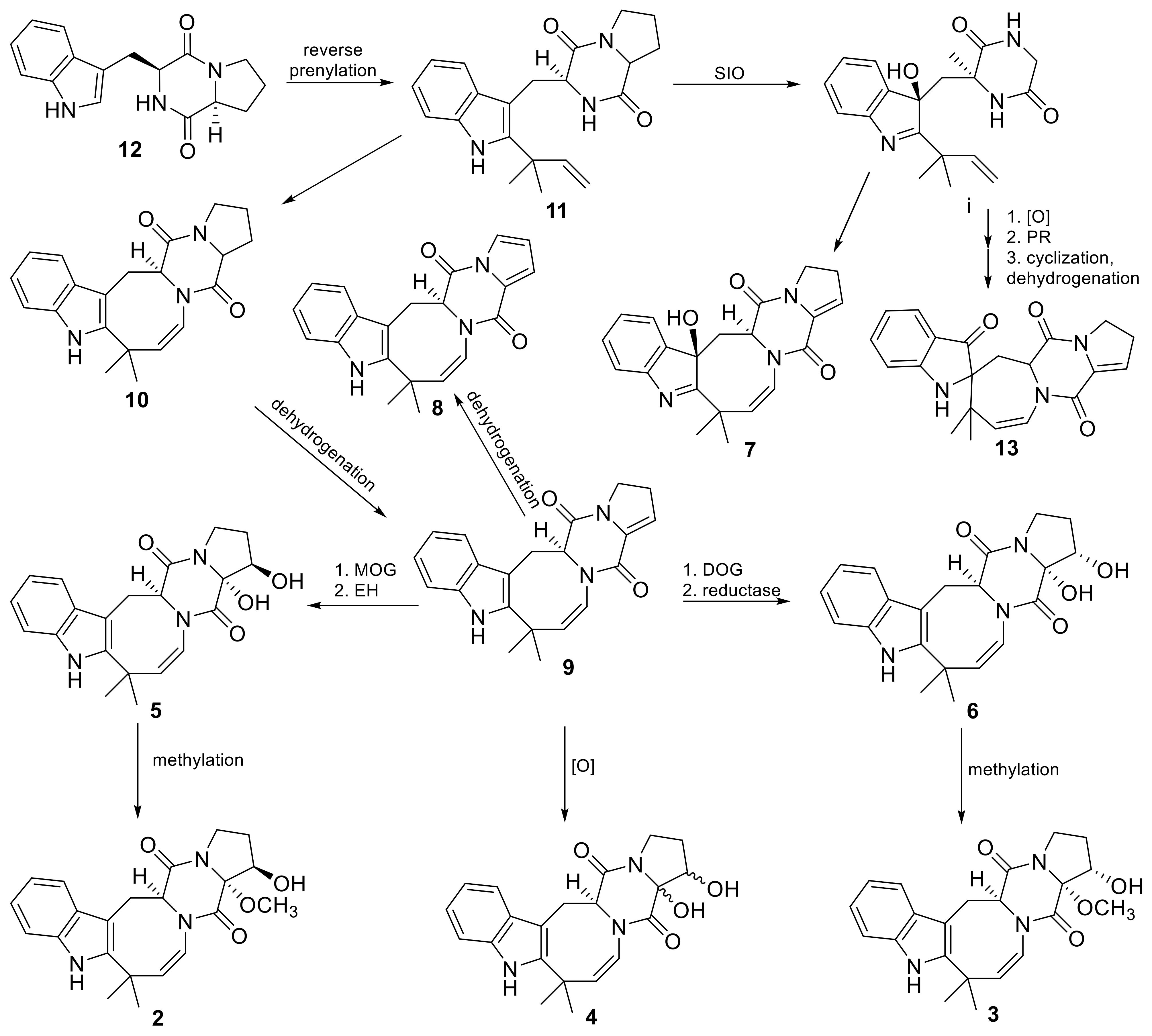 Fermentation 09 00337 g009 Fermentation 09 00337 g009