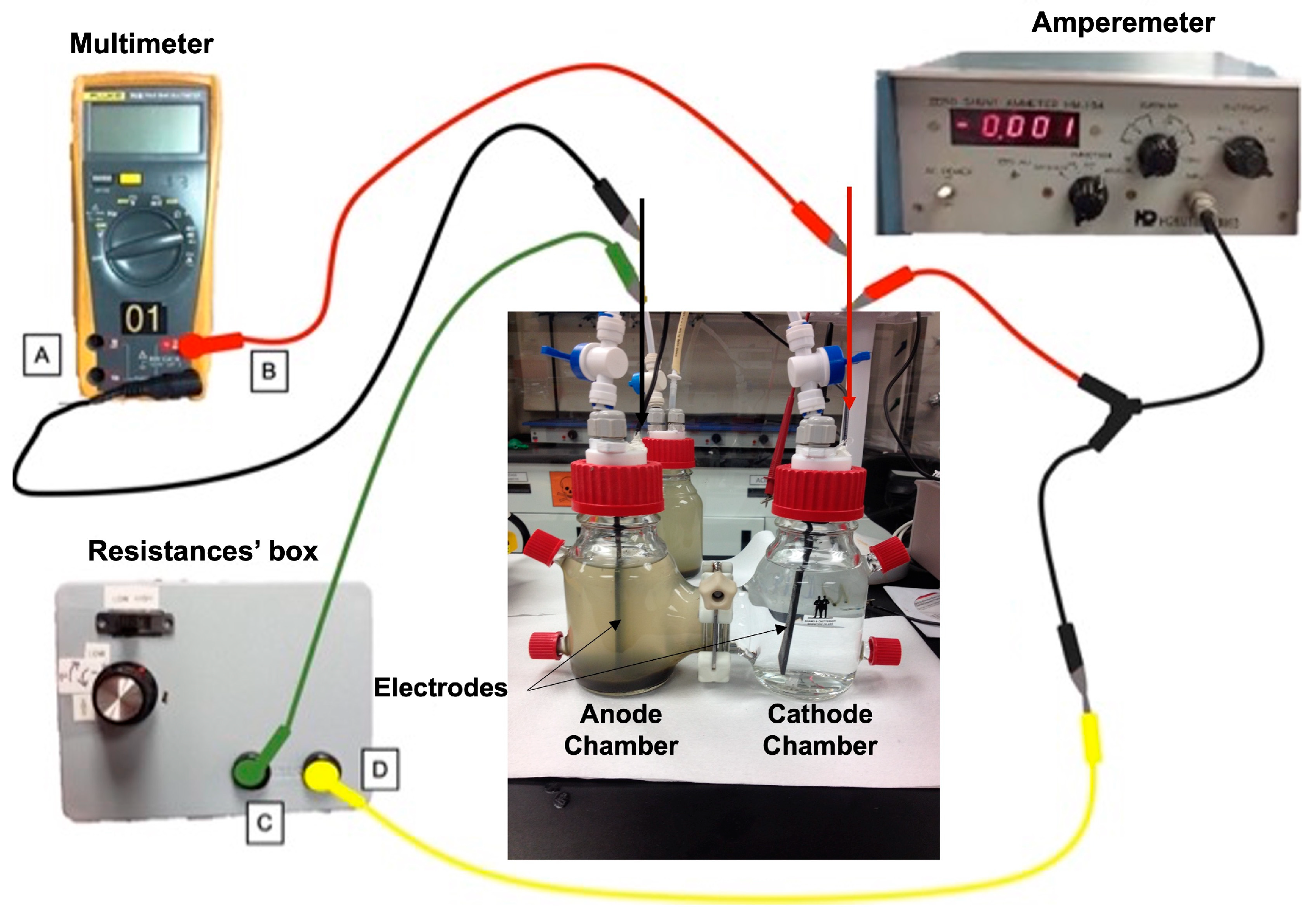 Fermentation 09 00344 g001