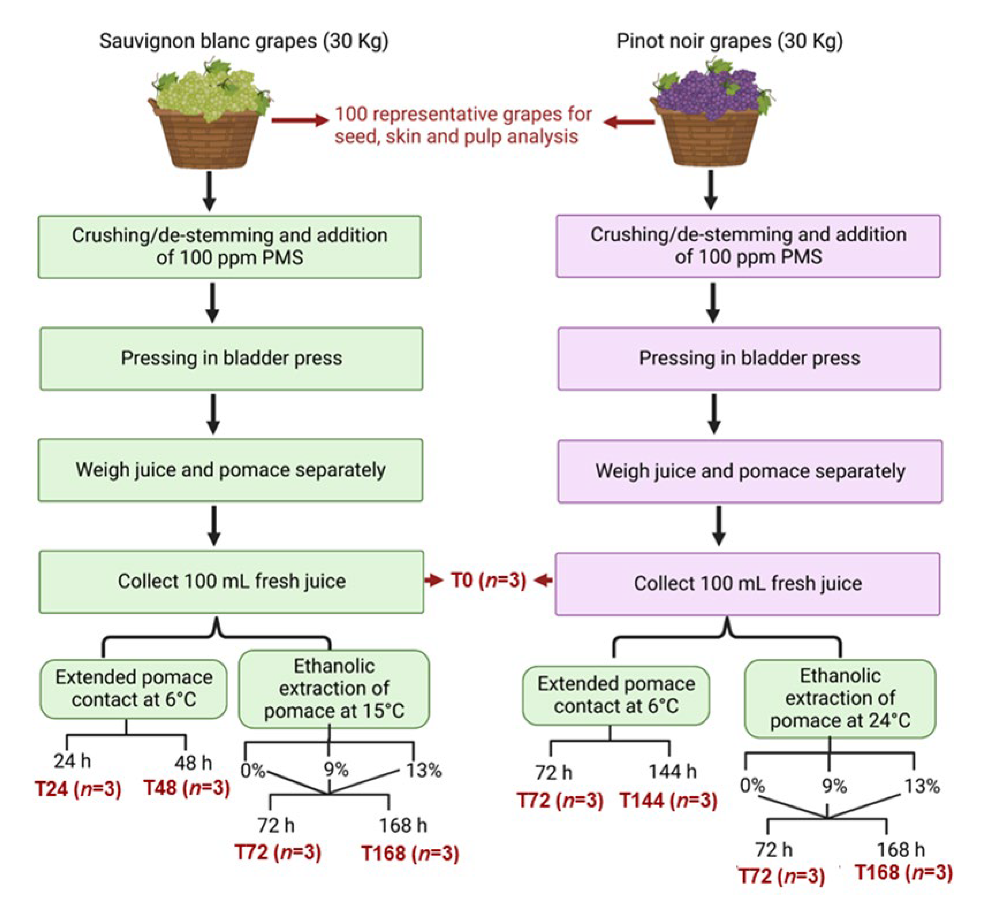 Fermentation 09 00357 g001 Fermentation 09 00357 g001