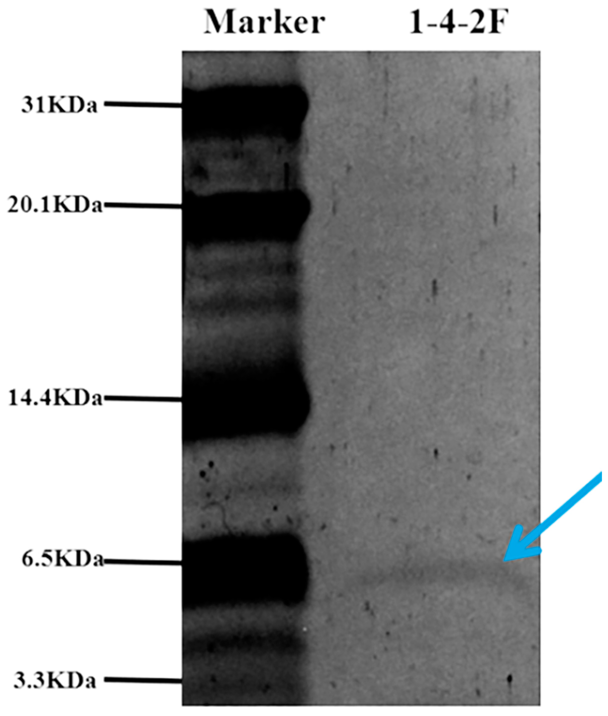 Fermentation 09 00358 g006