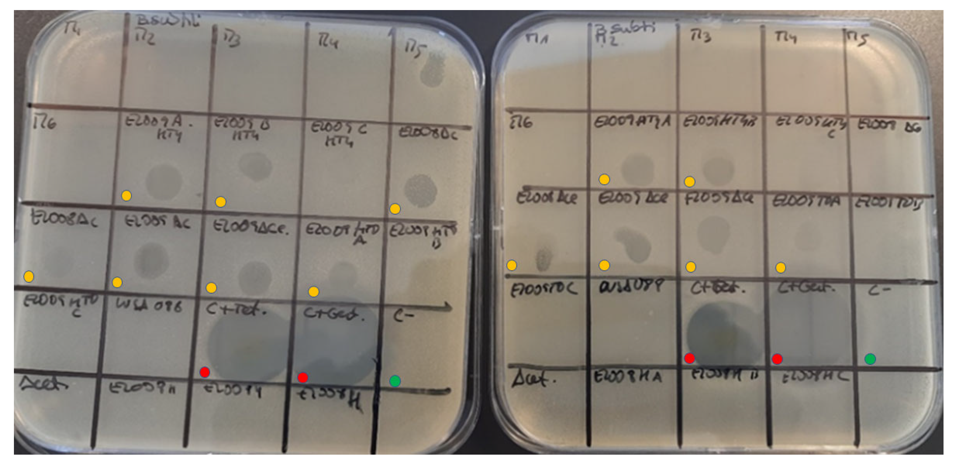 Fermentation 09 00360 g005