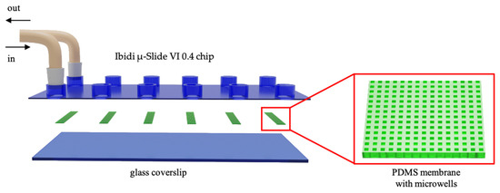 Fermentation | Free Full-Text | Single-Cell Optical Nanomotion of 