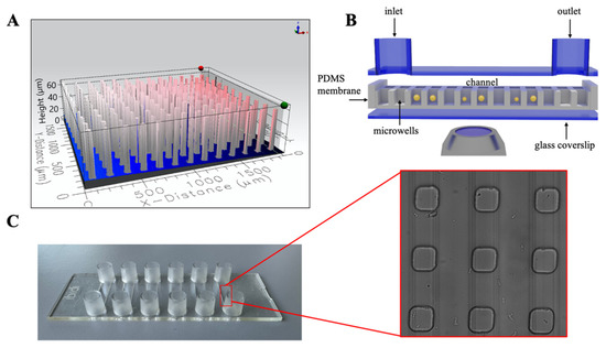 THE FINALS -diana2024-/フォトブック Single-Cell Optical Nanomotion of Candida albicans in Microwells