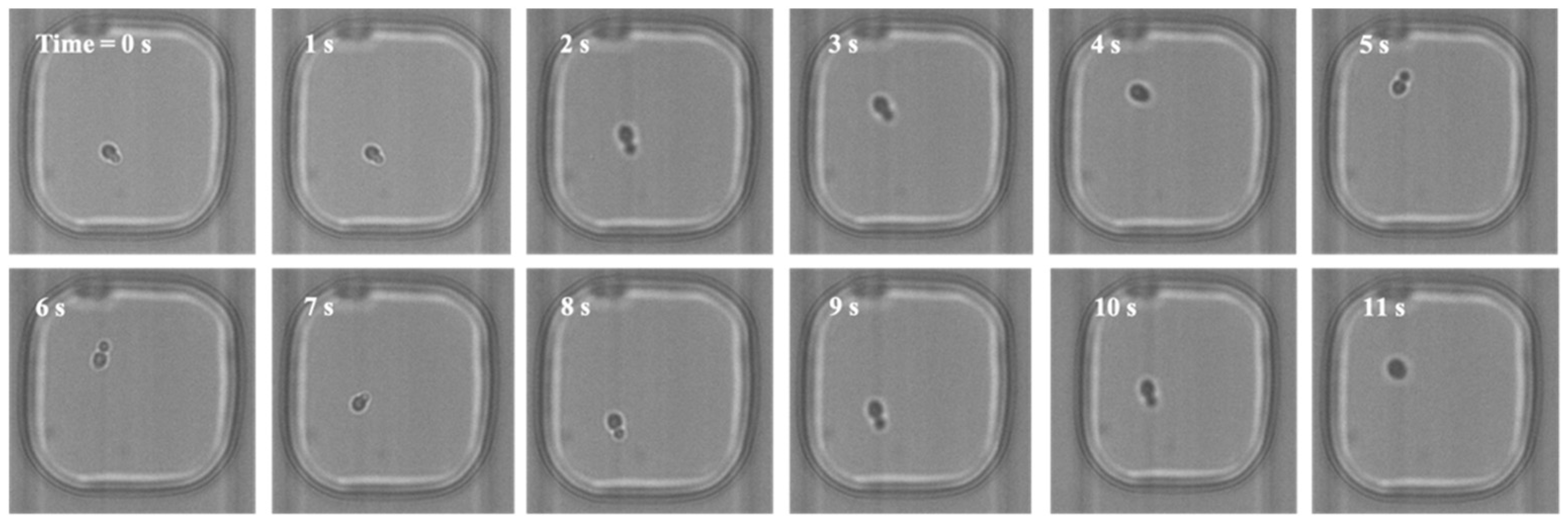 Fermentation 09 00365 g005