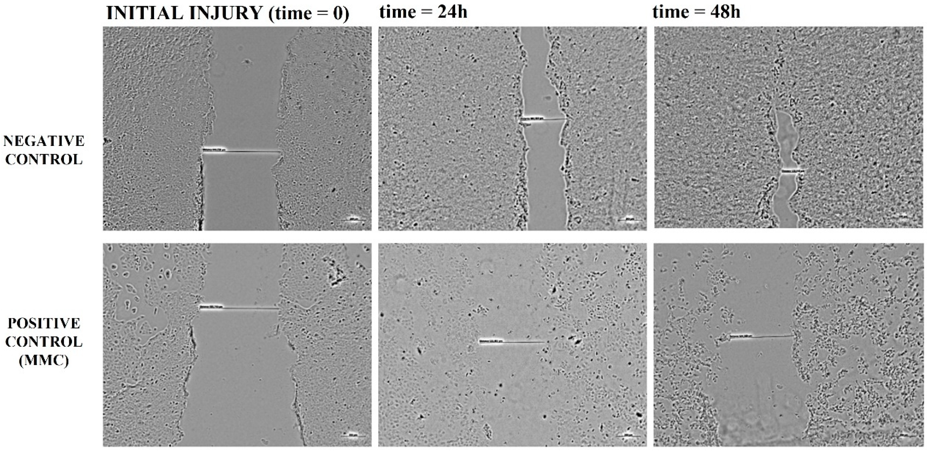 Fermentation 09 00370 g007 Fermentation 09 00370 g007