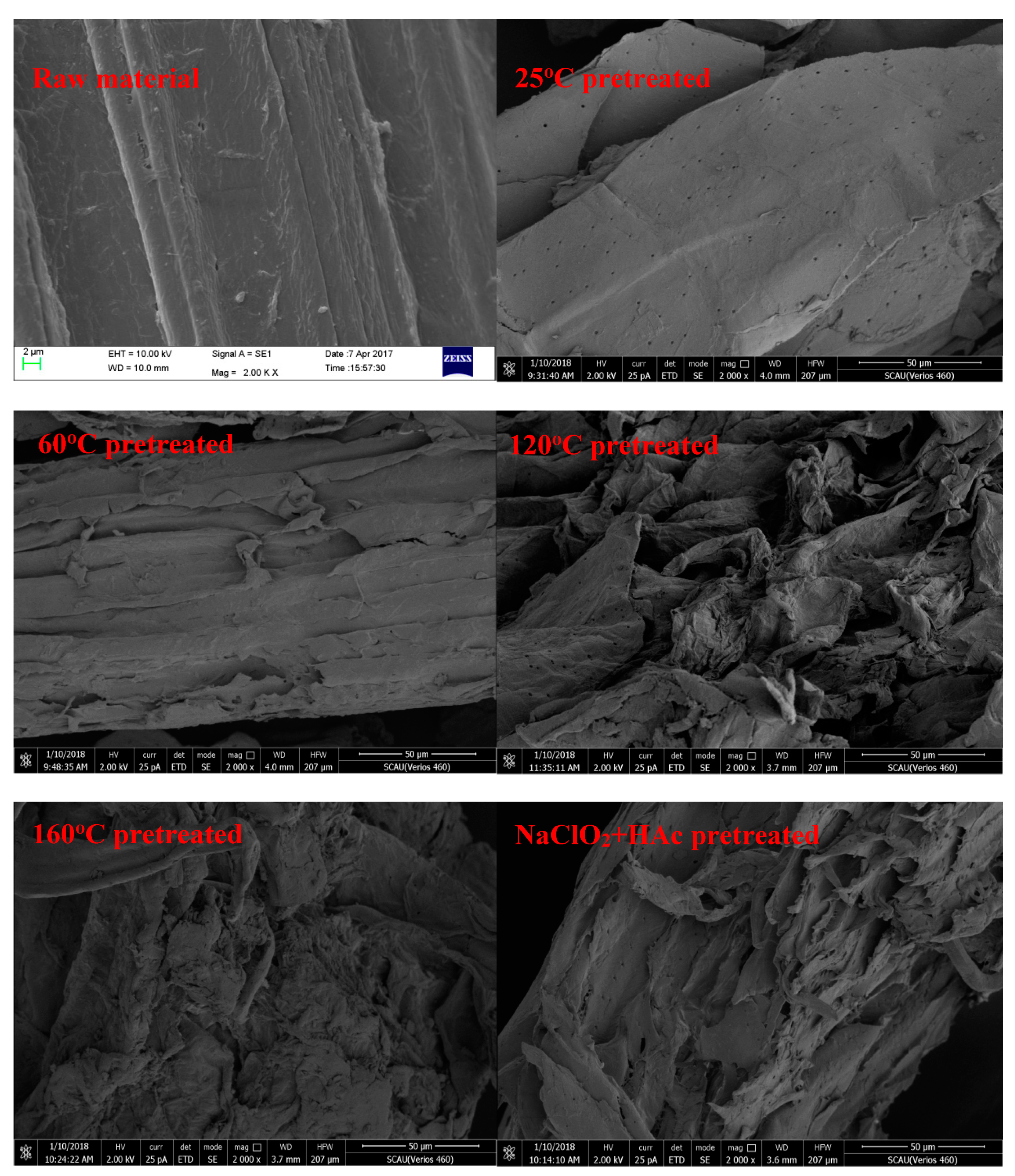 Fermentation 09 00371 g001 Fermentation 09 00371 g001