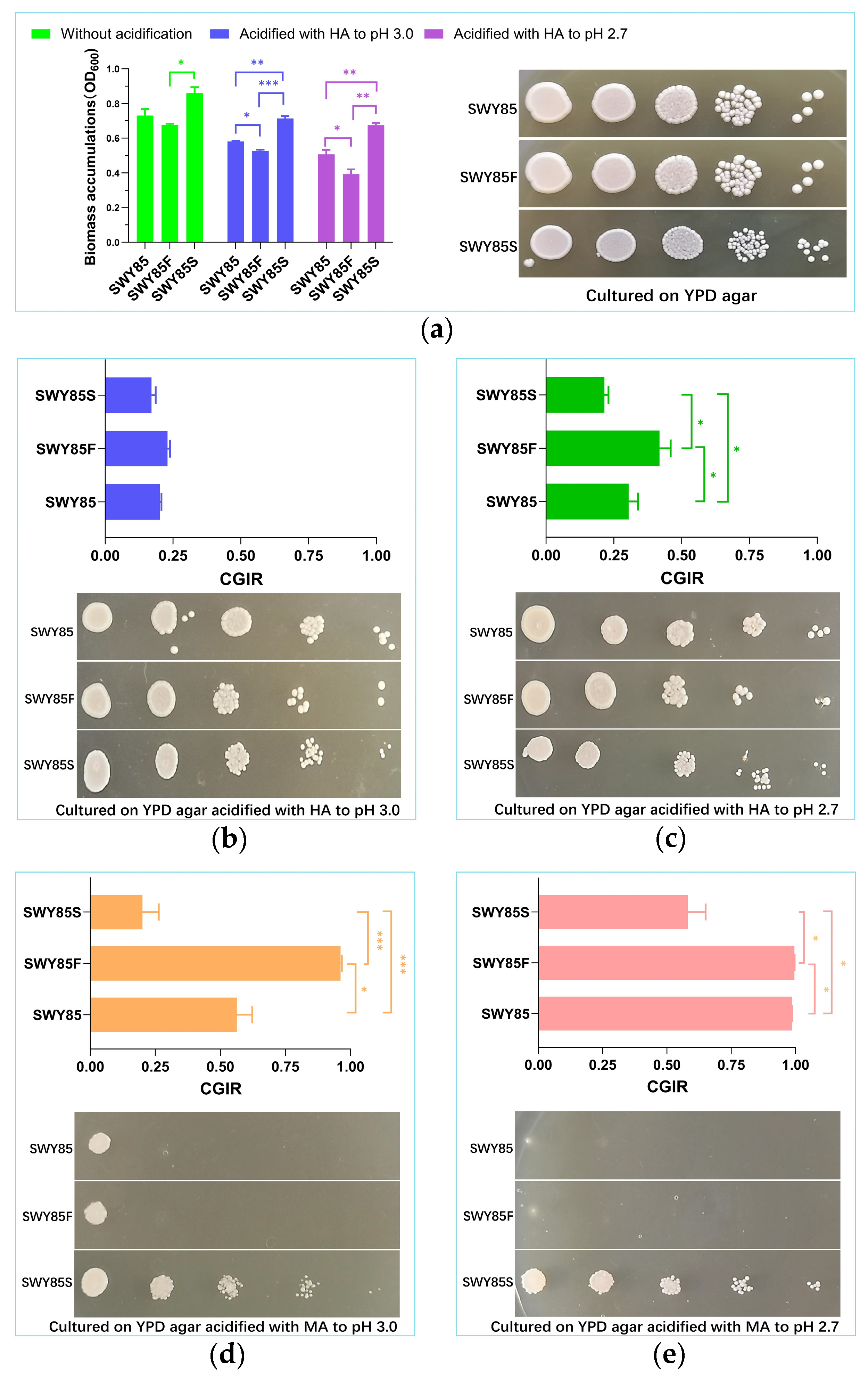 Fermentation 09 00378 g001