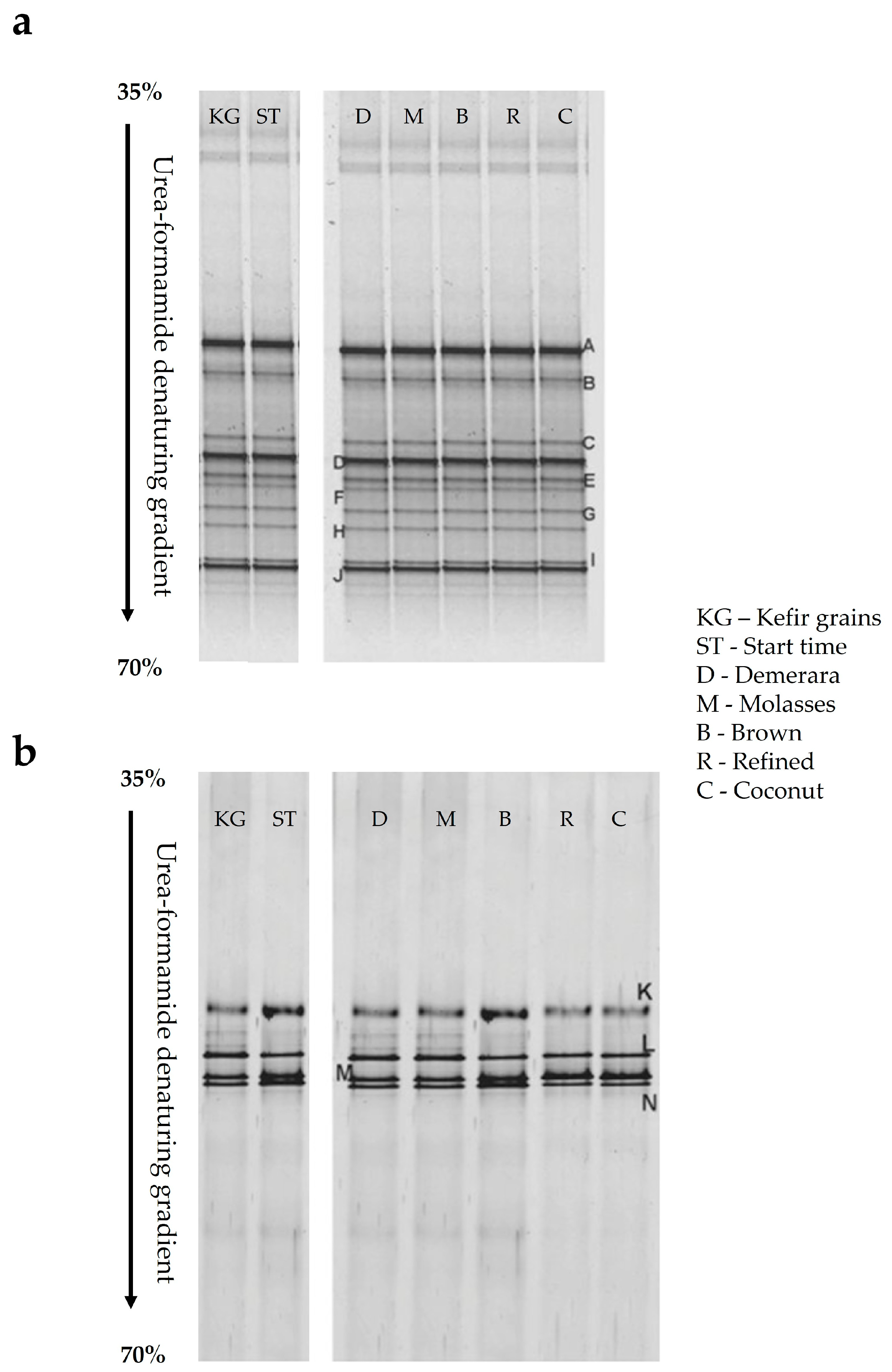 Fermentation 09 00384 g003
