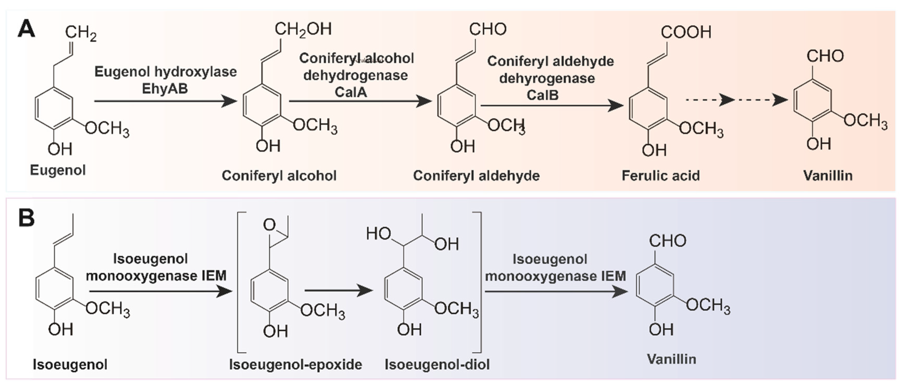 Fermentation Free FullText Current Status, Challenges, and