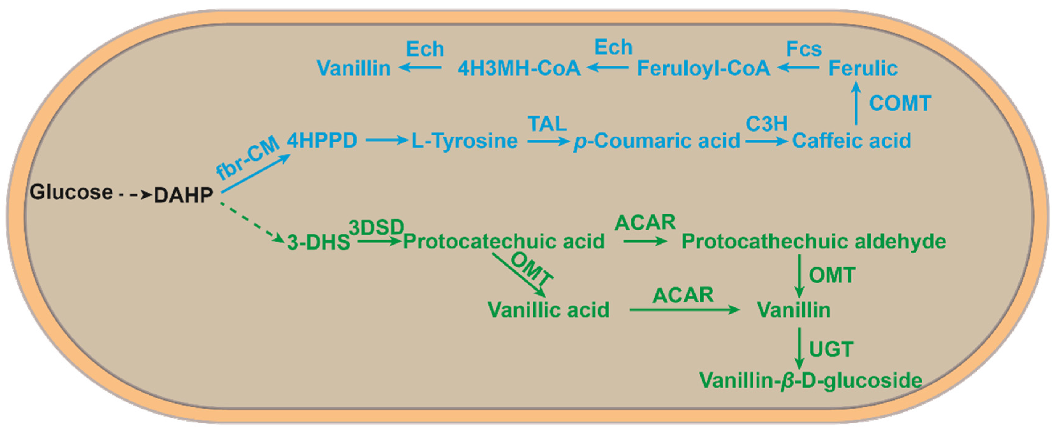 Fermentation 09 00389 g004 Fermentation 09 00389 g004