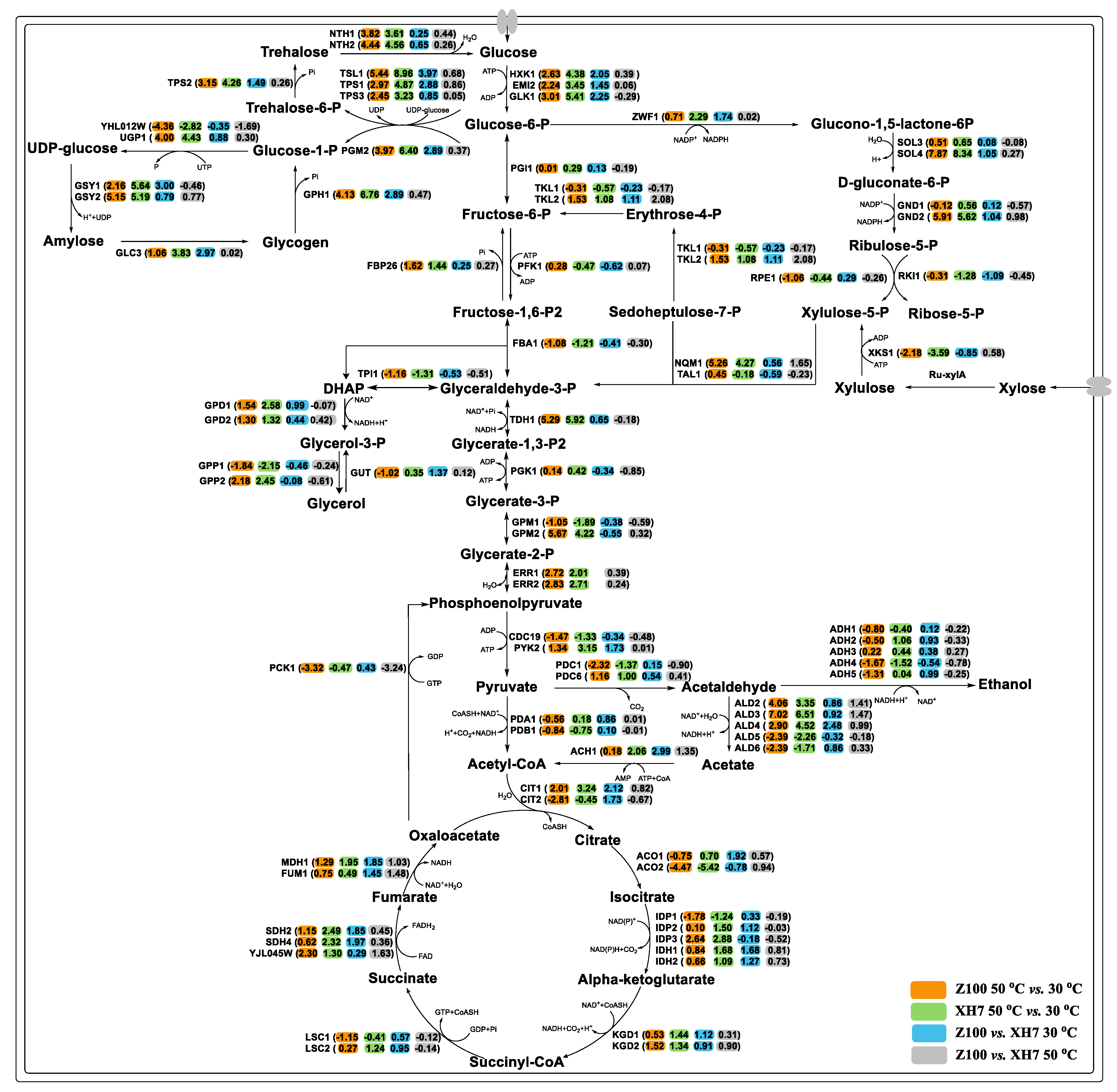 Fermentation 09 00393 g004