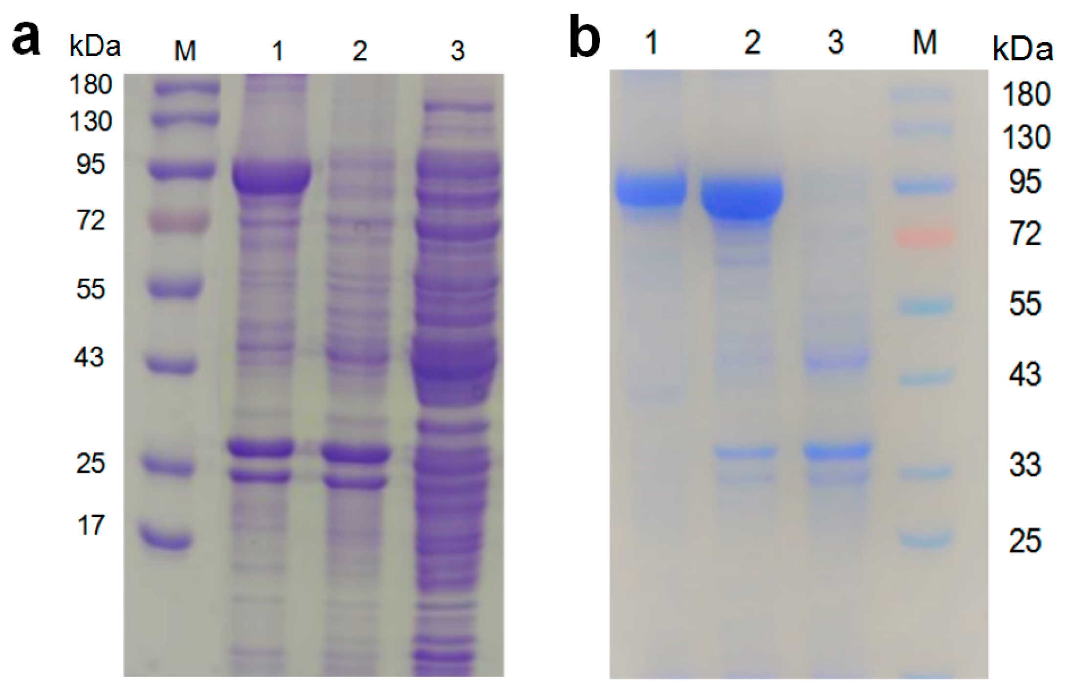 Fermentation 09 00397 g006 Fermentation 09 00397 g006